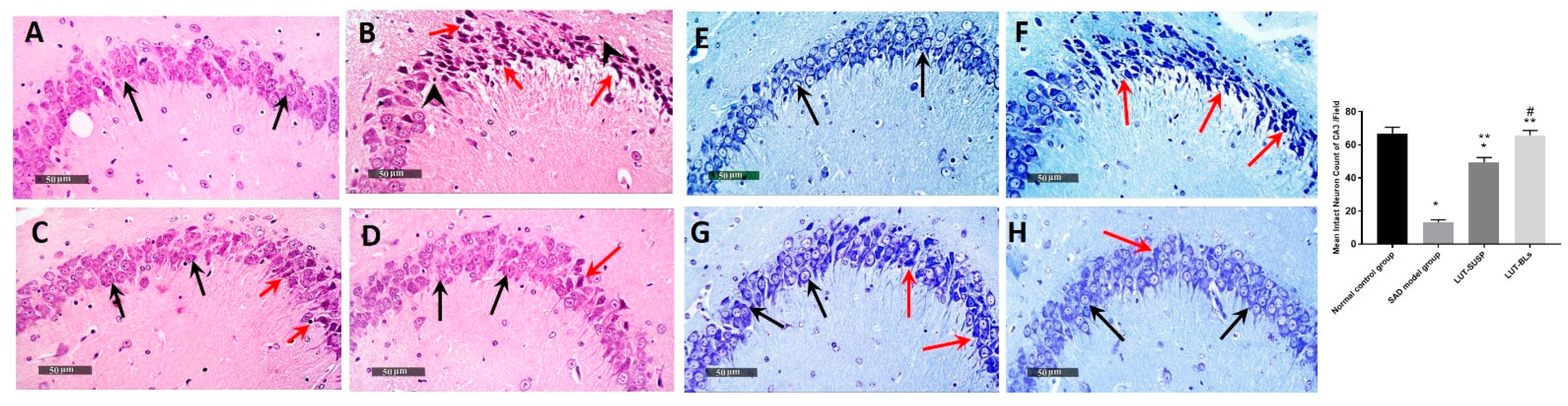 Pharmaceutics 14 00576 g009