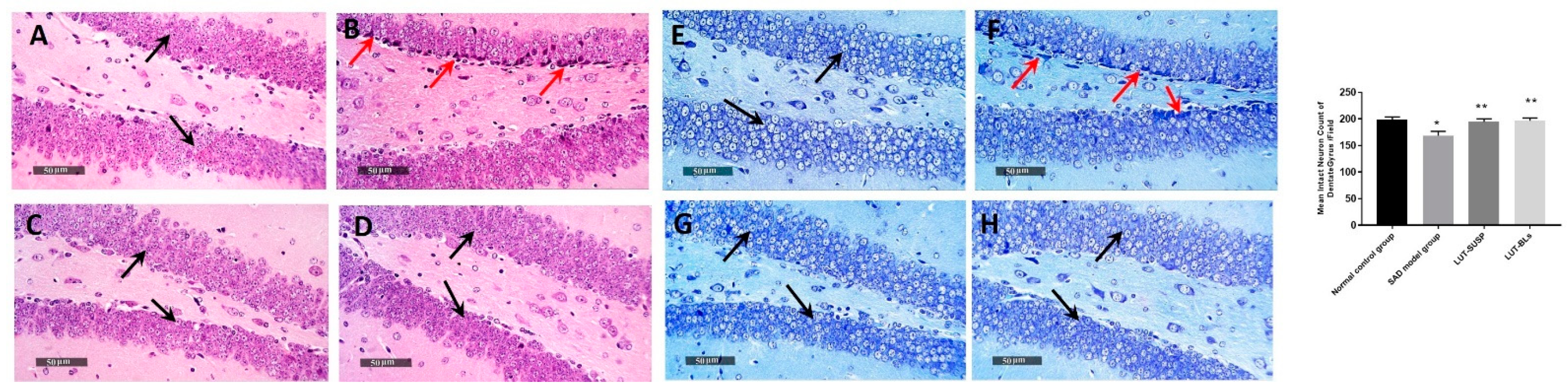 Pharmaceutics 14 00576 g010
