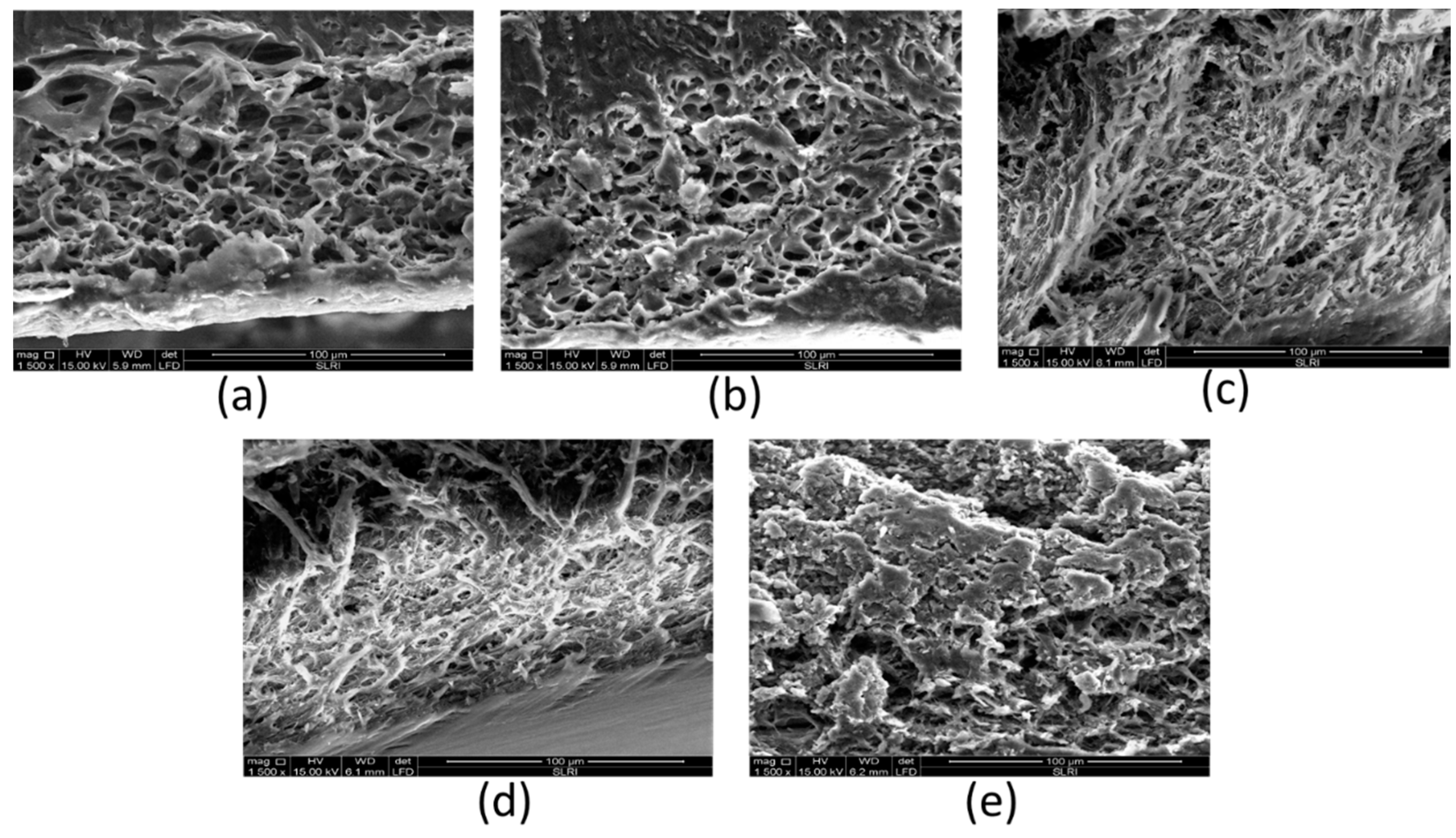 Pharmaceutics 14 00577 g007