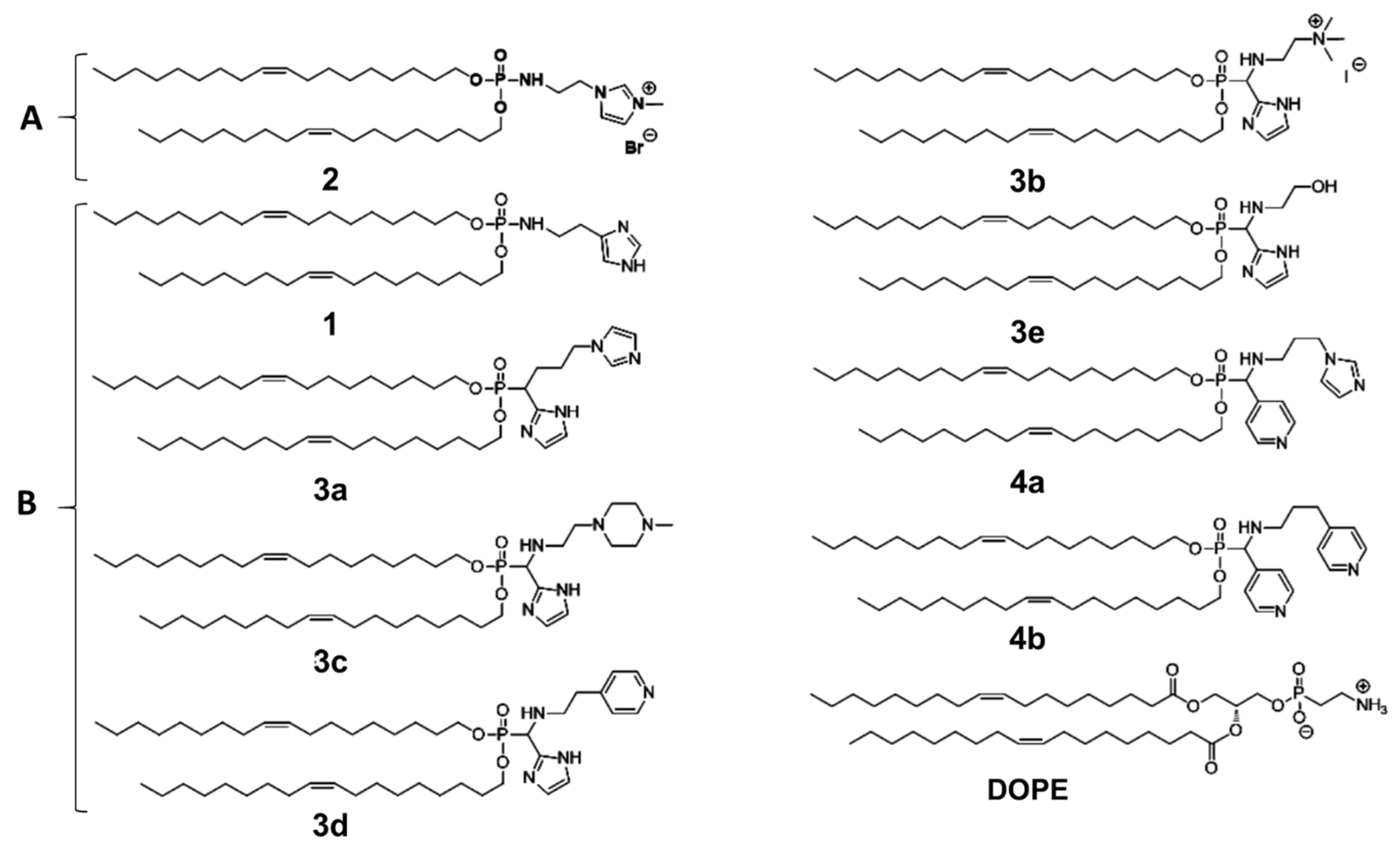 Pharmaceutics 14 00581 g001
