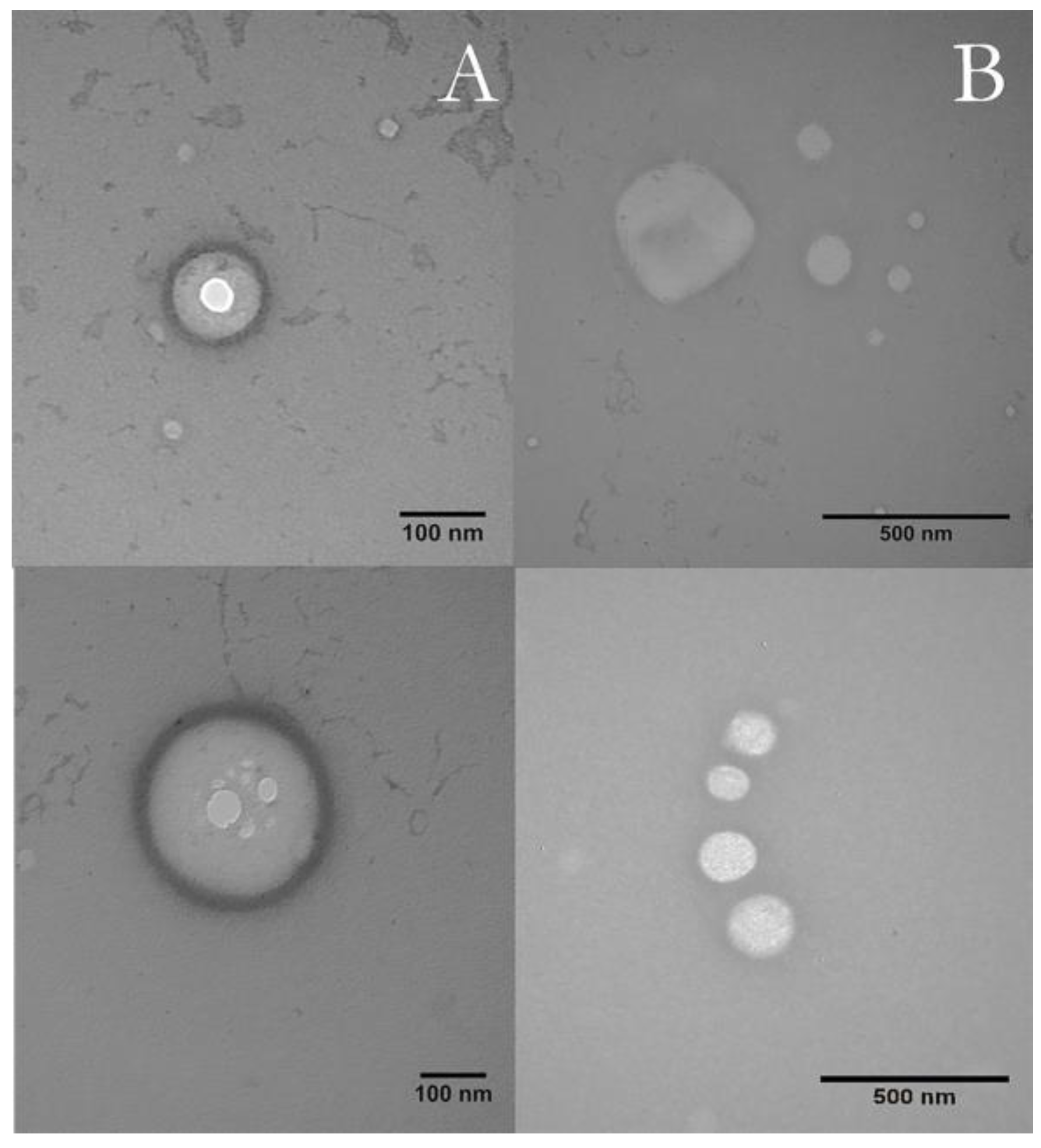 Pharmaceutics 14 00583 g002 Pharmaceutics 14 00583 g002