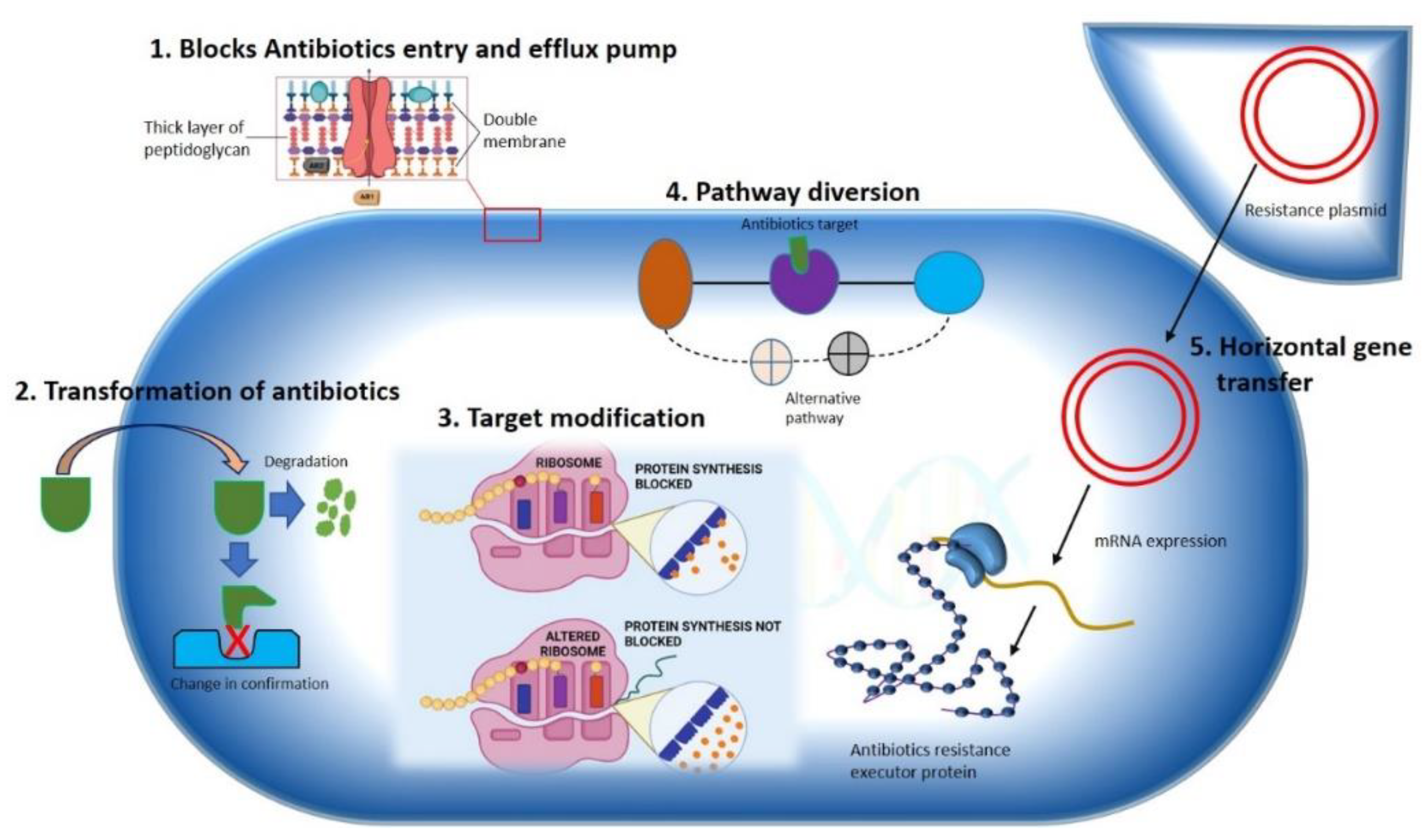 Pharmaceutics 14 00586 g001 Pharmaceutics 14 00586 g001