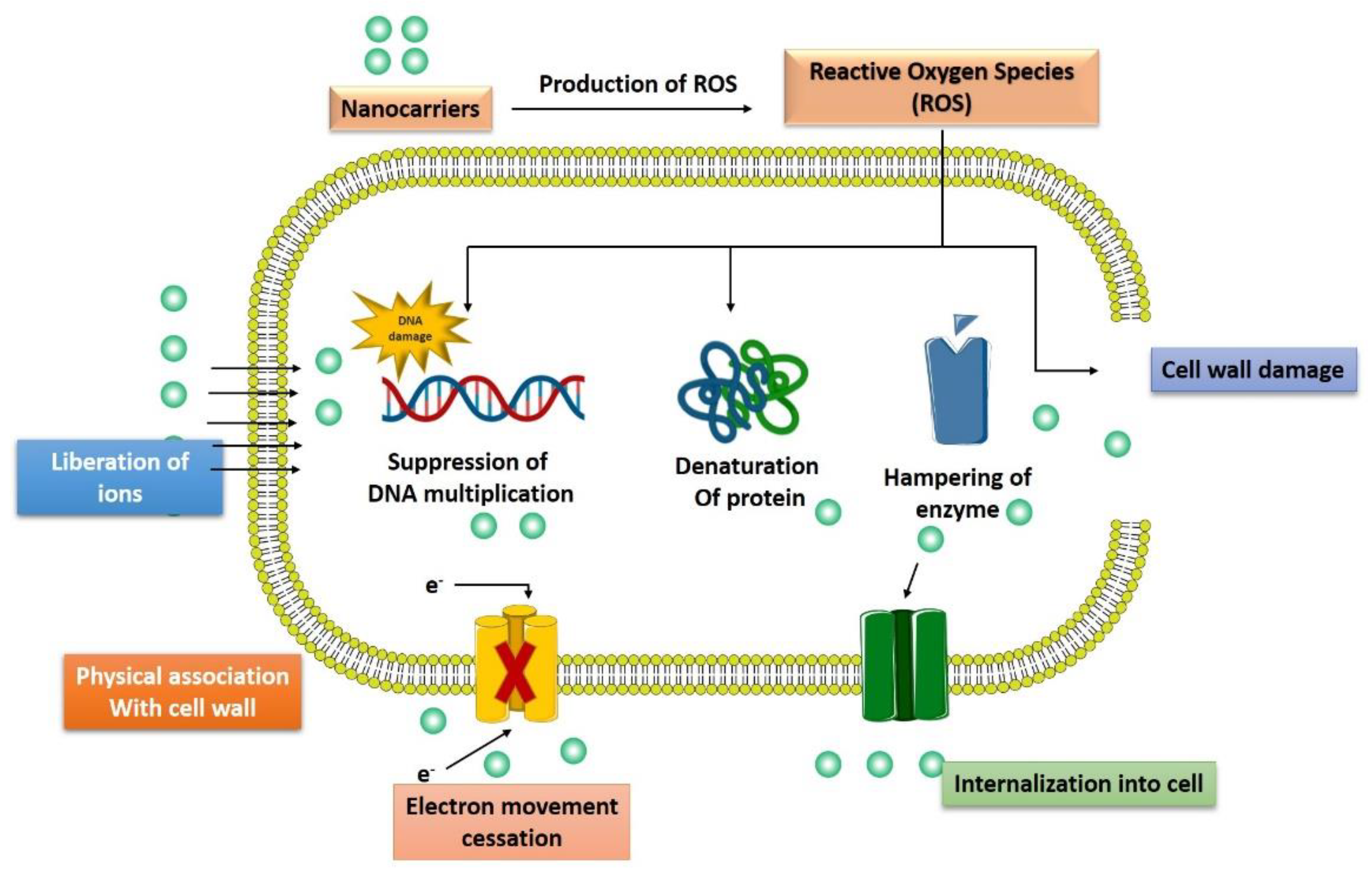 Pharmaceutics 14 00586 g003 Pharmaceutics 14 00586 g003