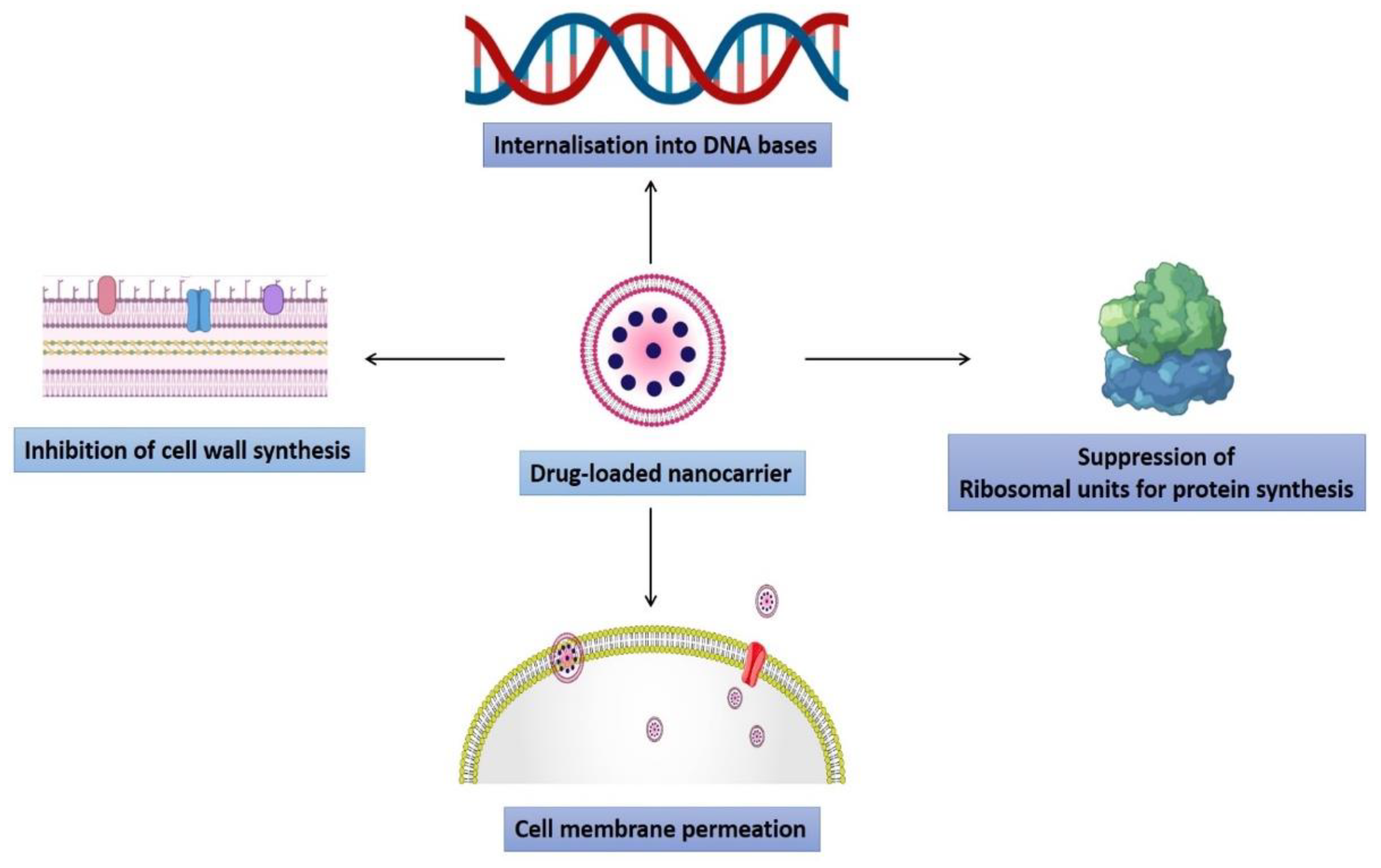 Pharmaceutics 14 00586 g004 Pharmaceutics 14 00586 g004