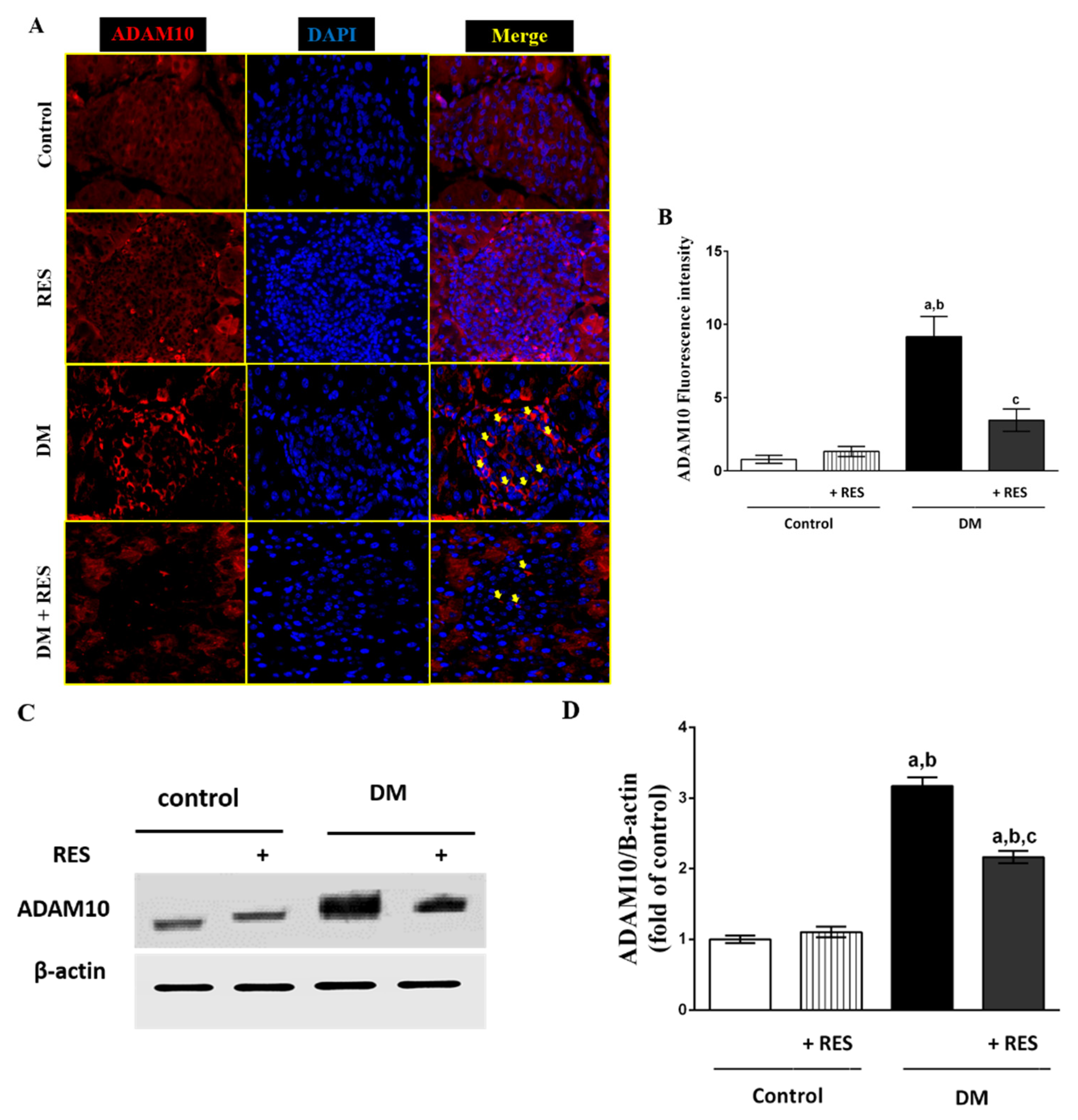 Pharmaceutics 14 00594 g004