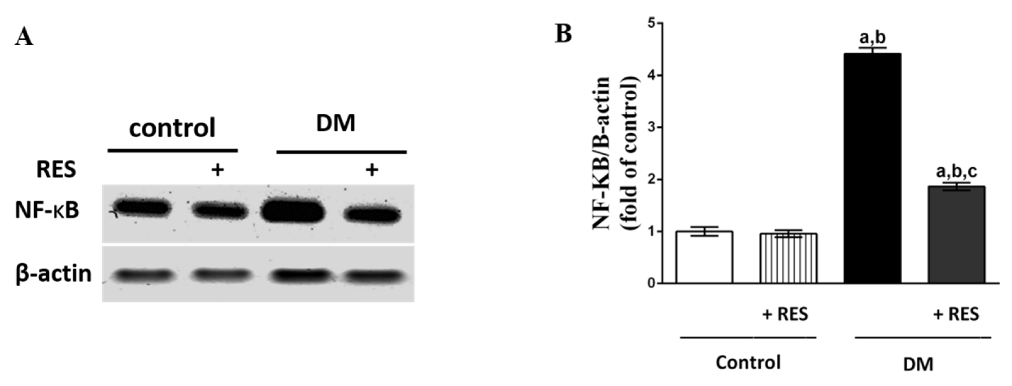Pharmaceutics 14 00594 g005