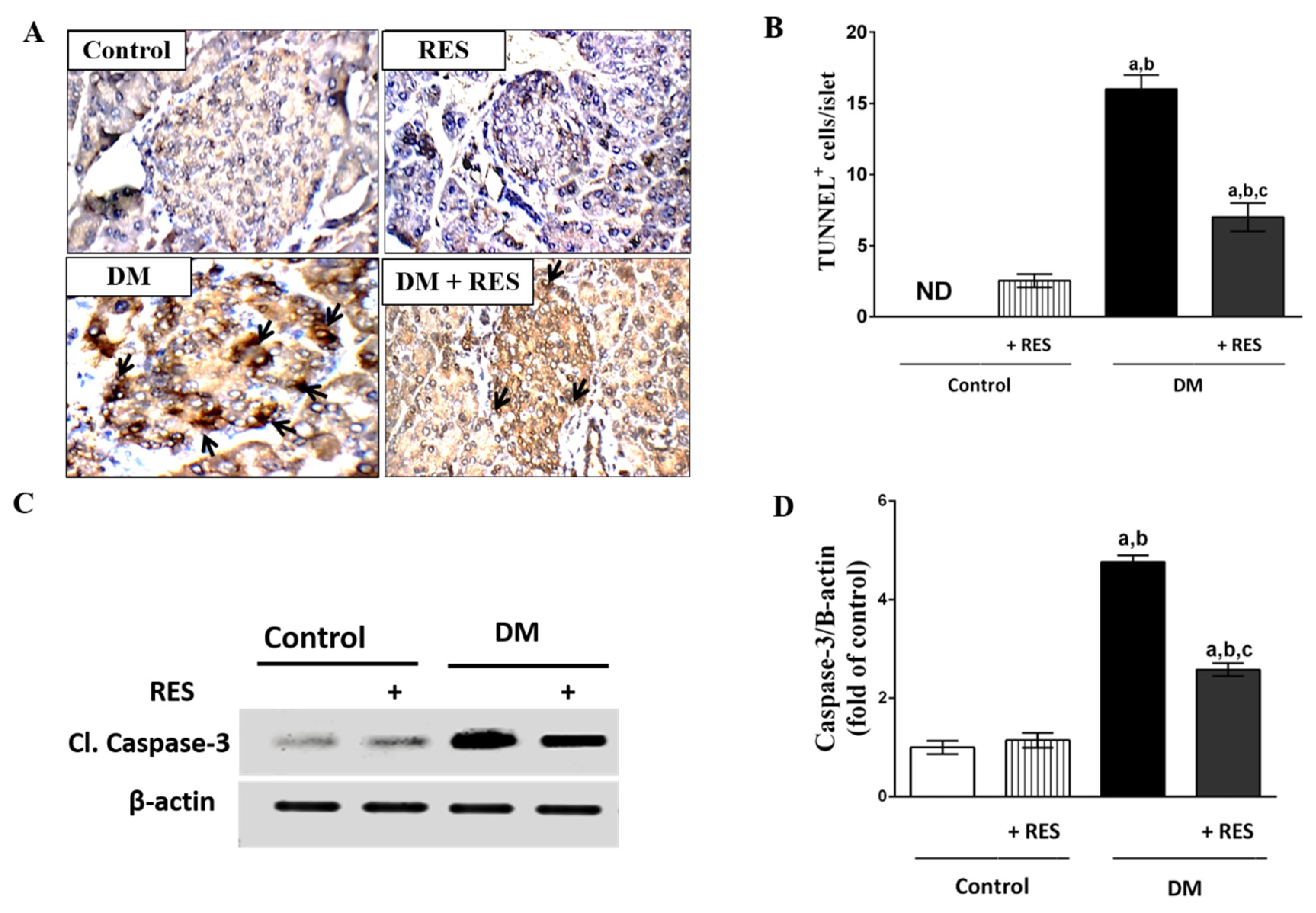 Pharmaceutics 14 00594 g006
