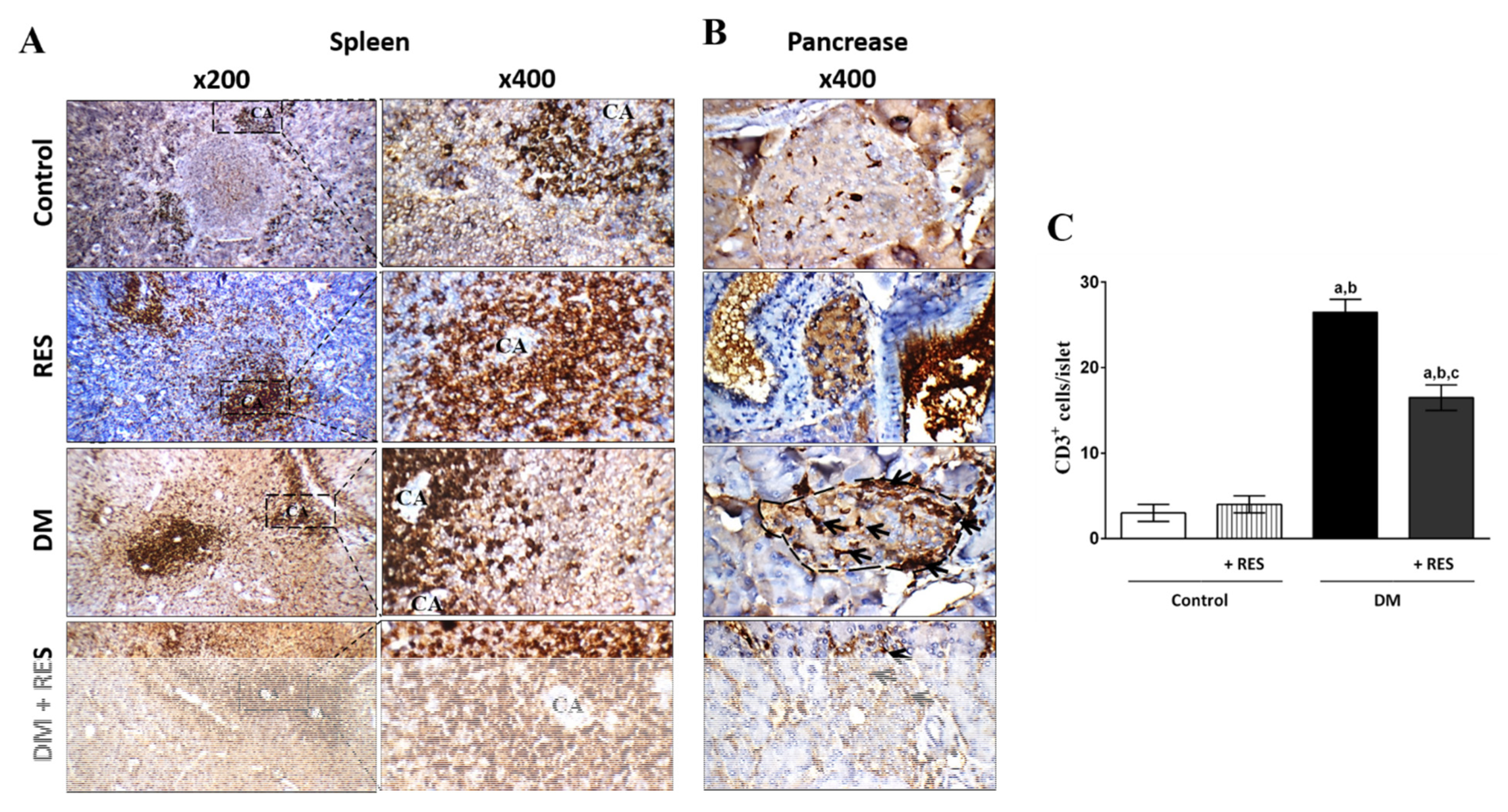 Pharmaceutics 14 00594 g007