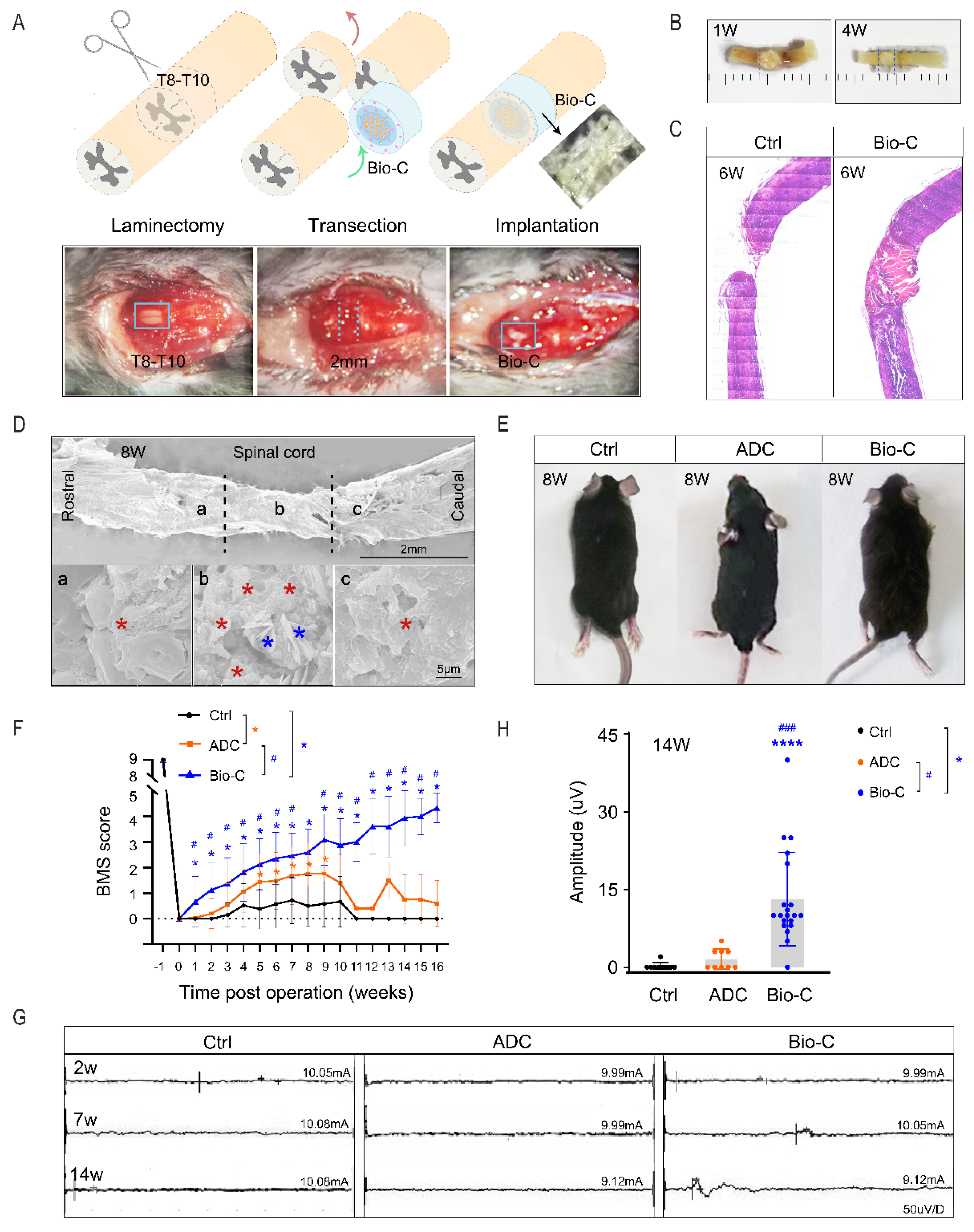 Pharmaceutics 14 00596 g002