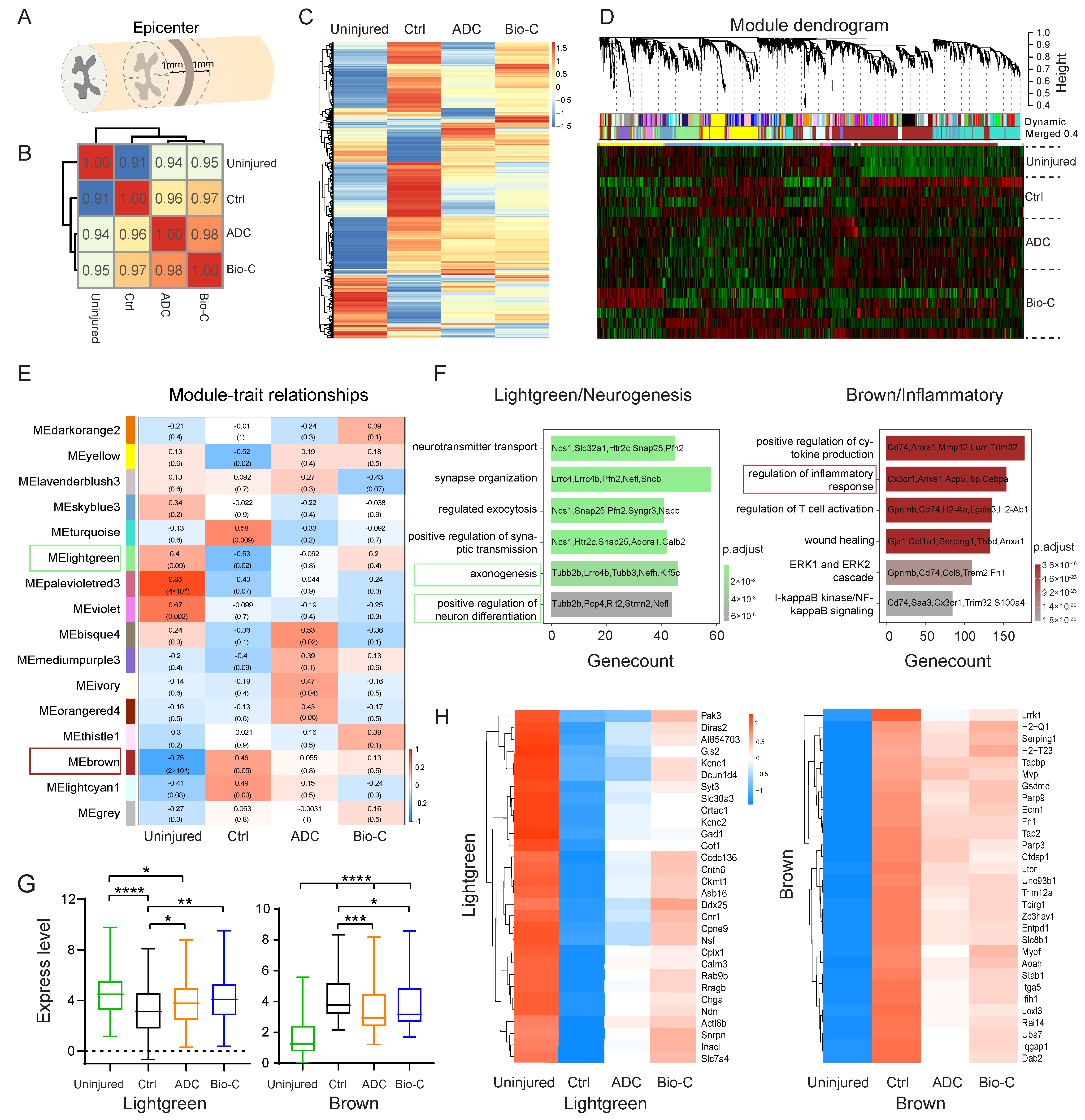Pharmaceutics 14 00596 g003