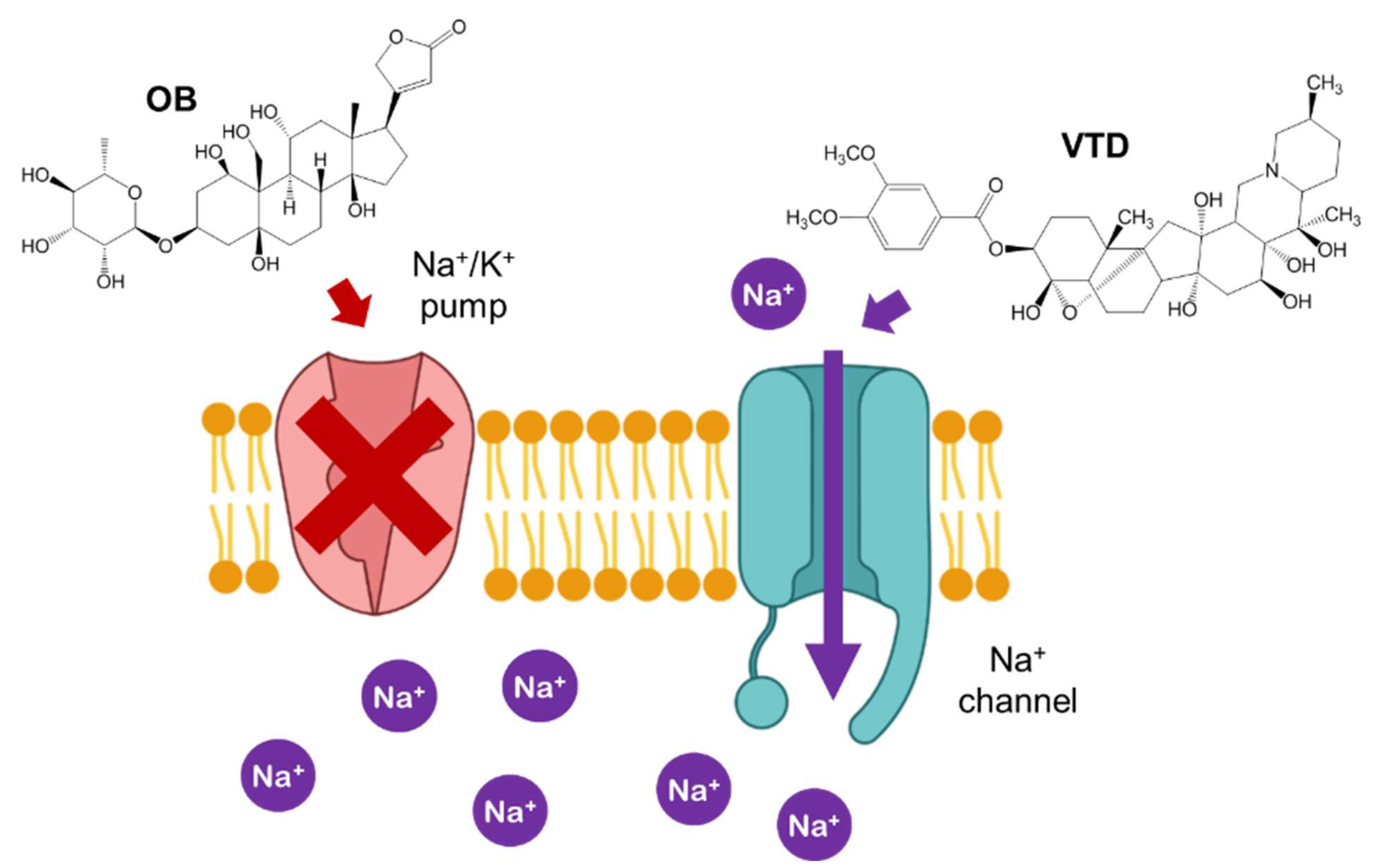 Pharmaceutics 14 00598 g008