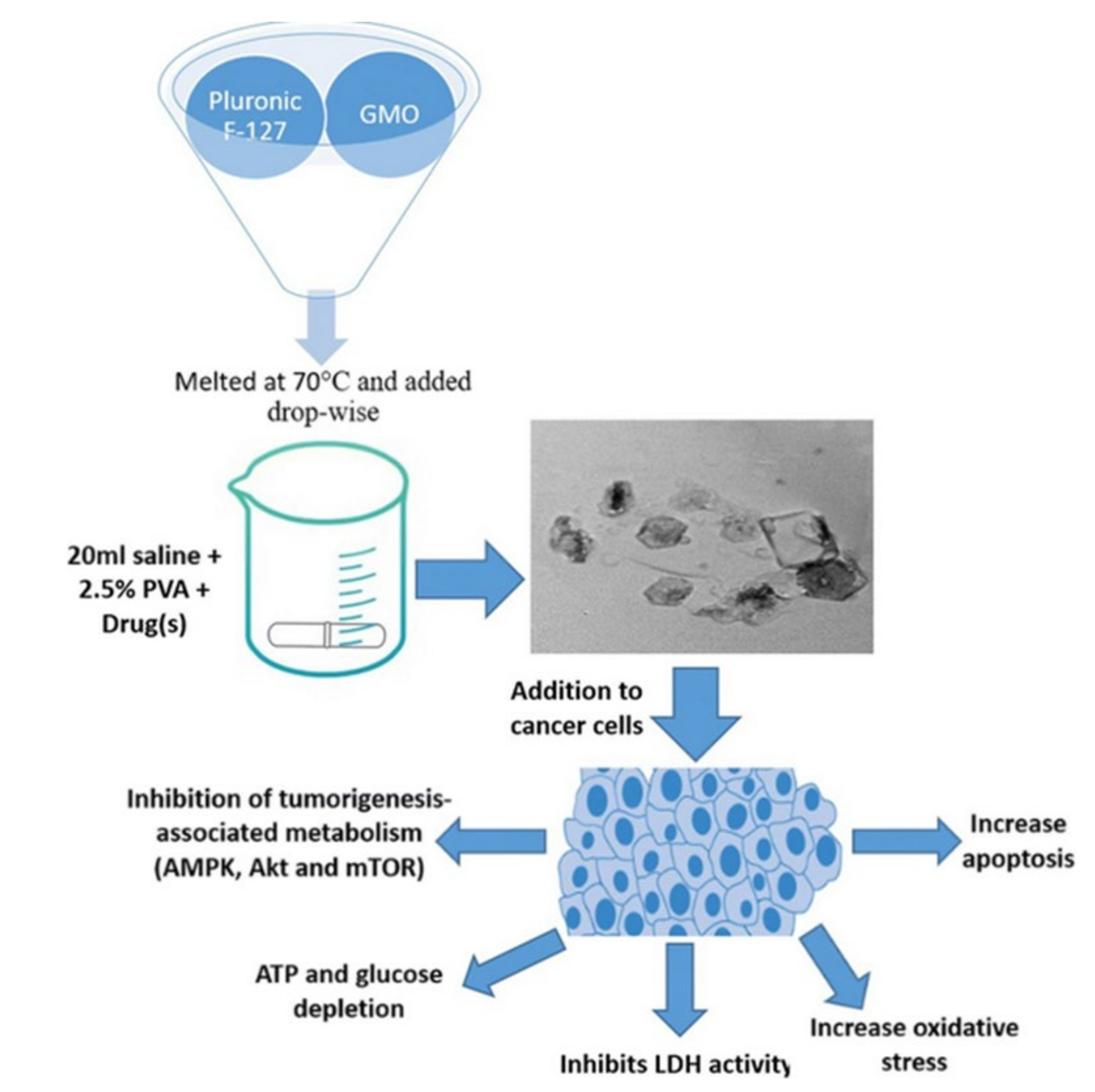 Pharmaceutics 14 00600 g004