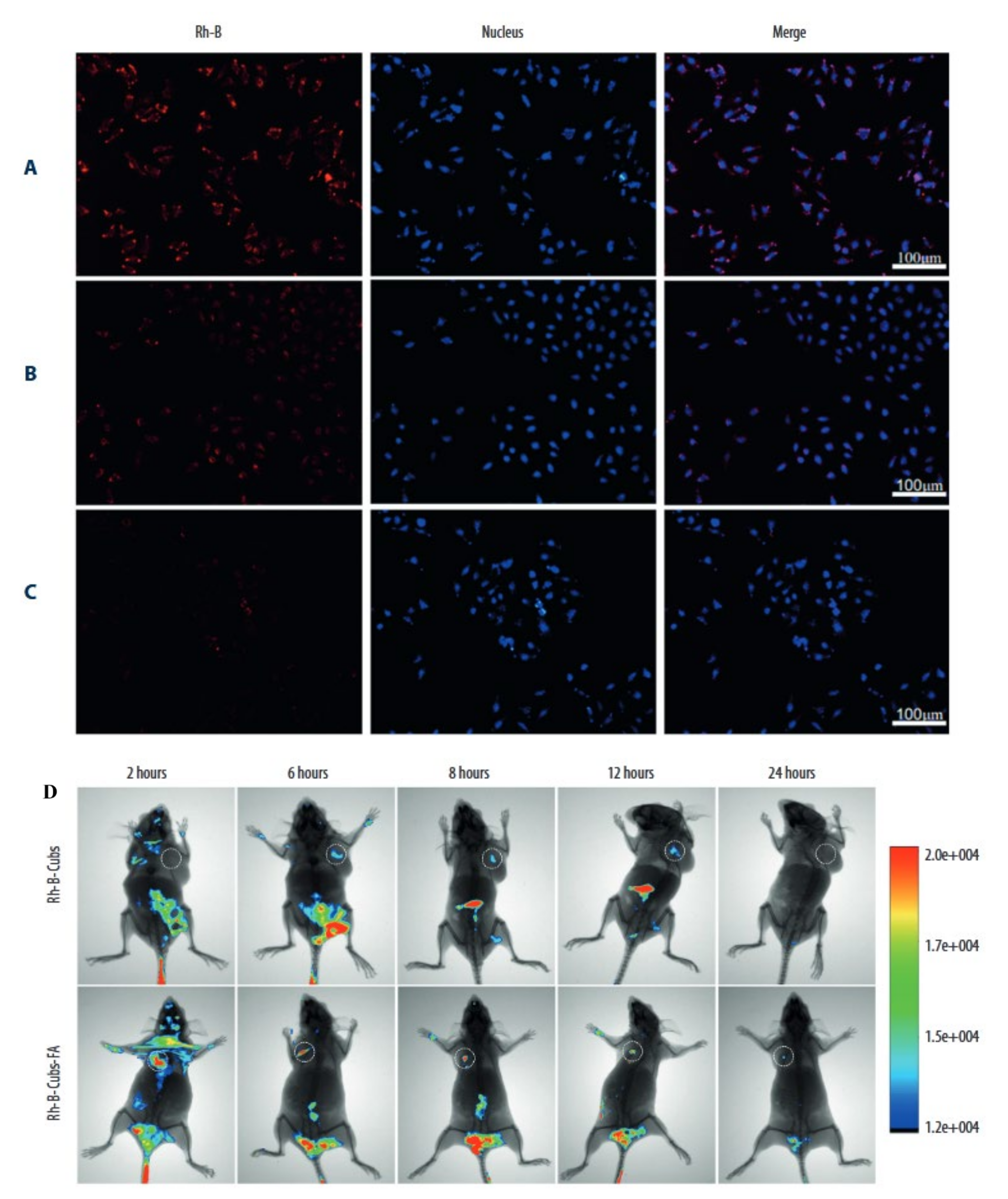 Pharmaceutics 14 00600 g006