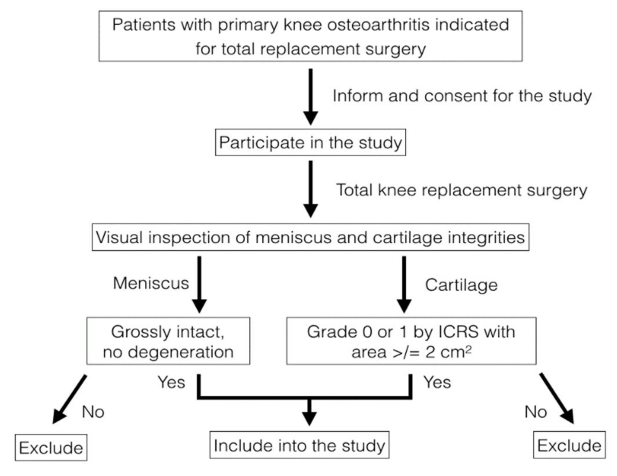 Pharmaceutics 14 00605 g001