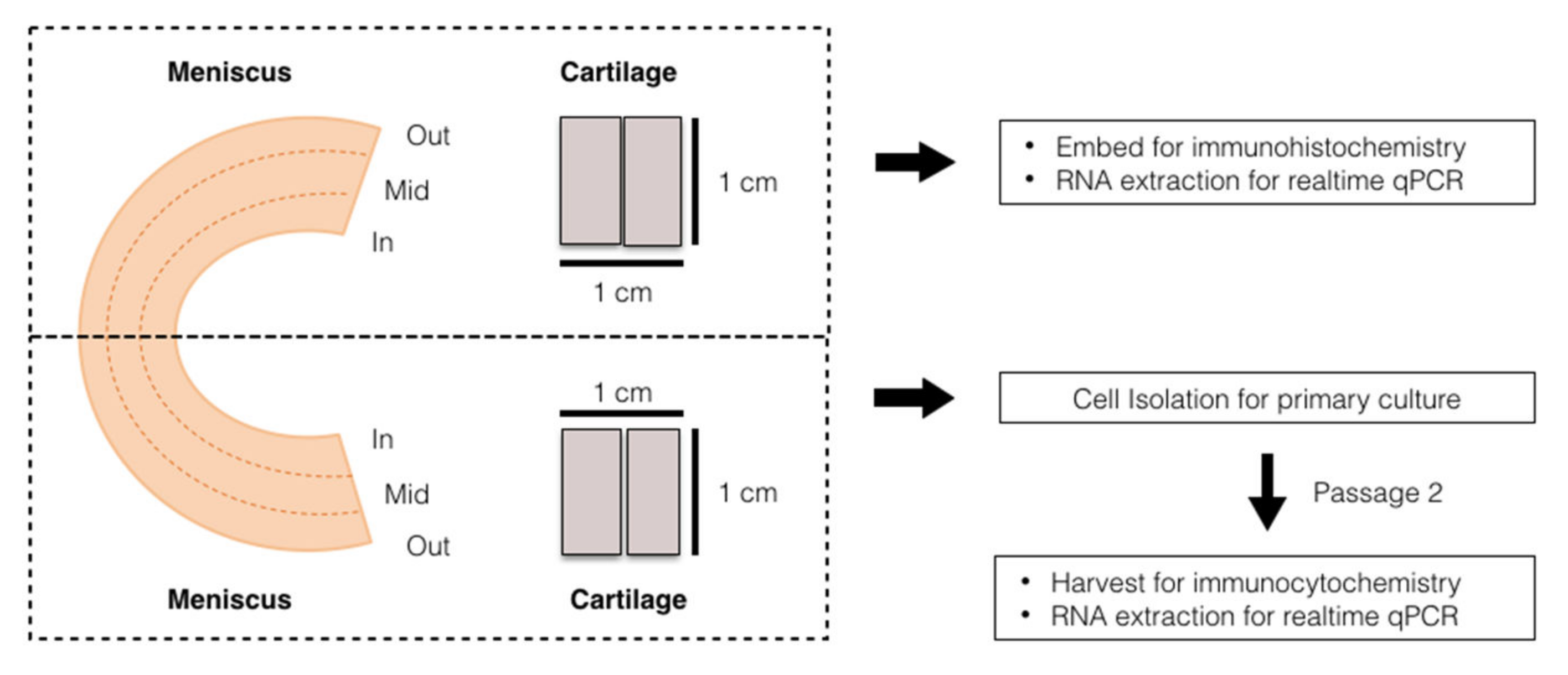 Pharmaceutics 14 00605 g002