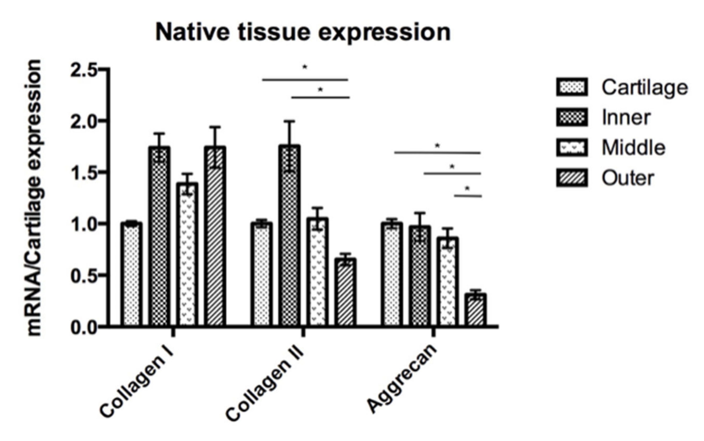 Pharmaceutics 14 00605 g007
