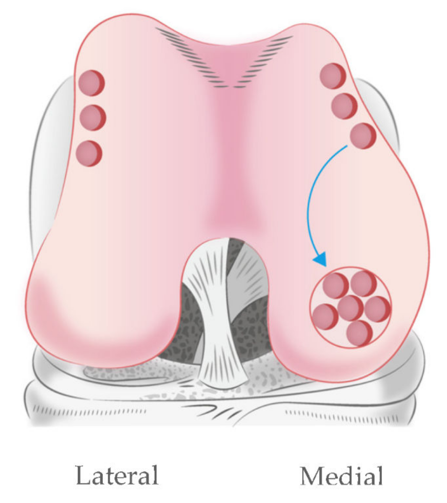Pharmaceutics 14 00605 g009