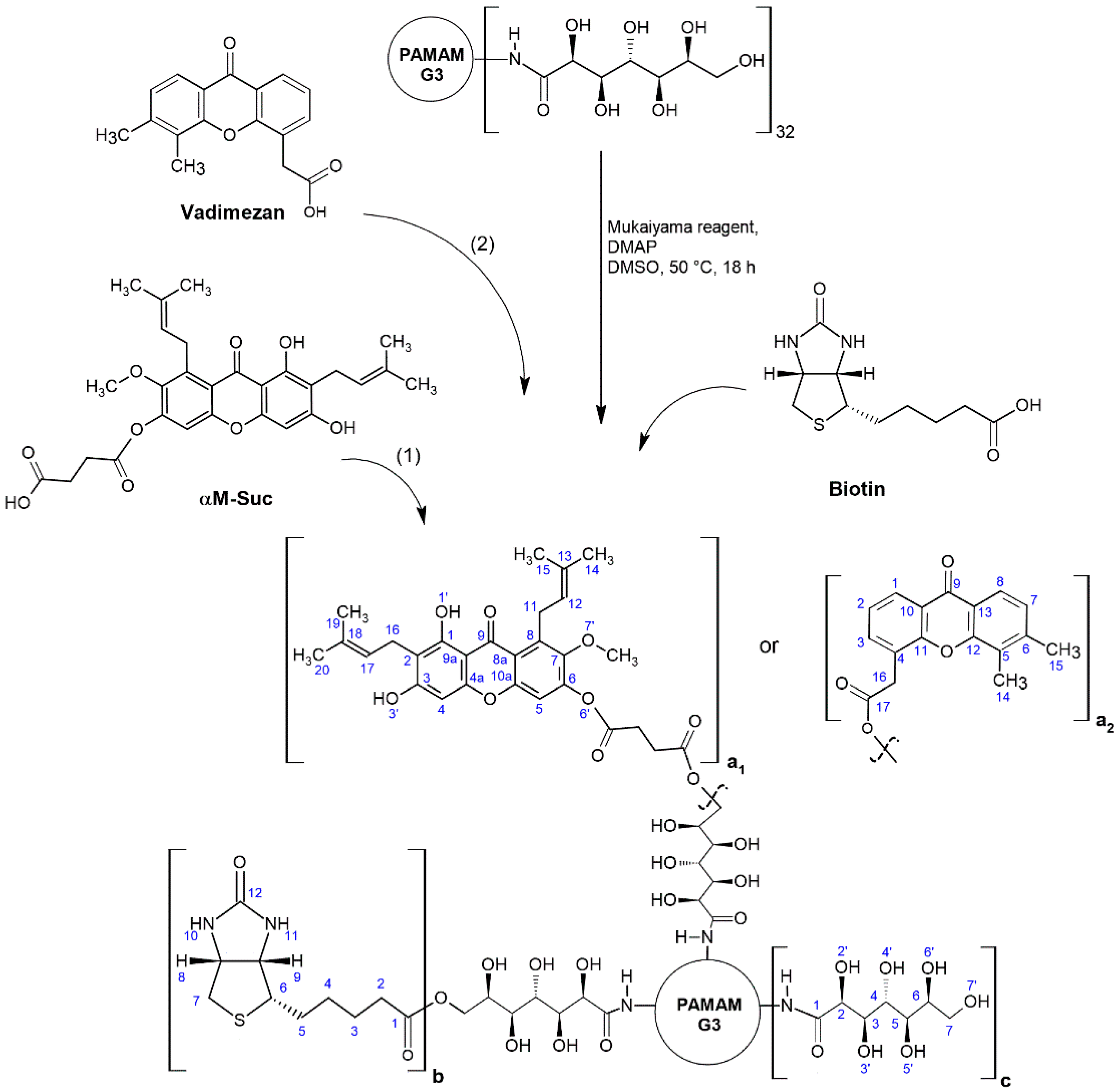 Pharmaceutics 14 00606 sch002
