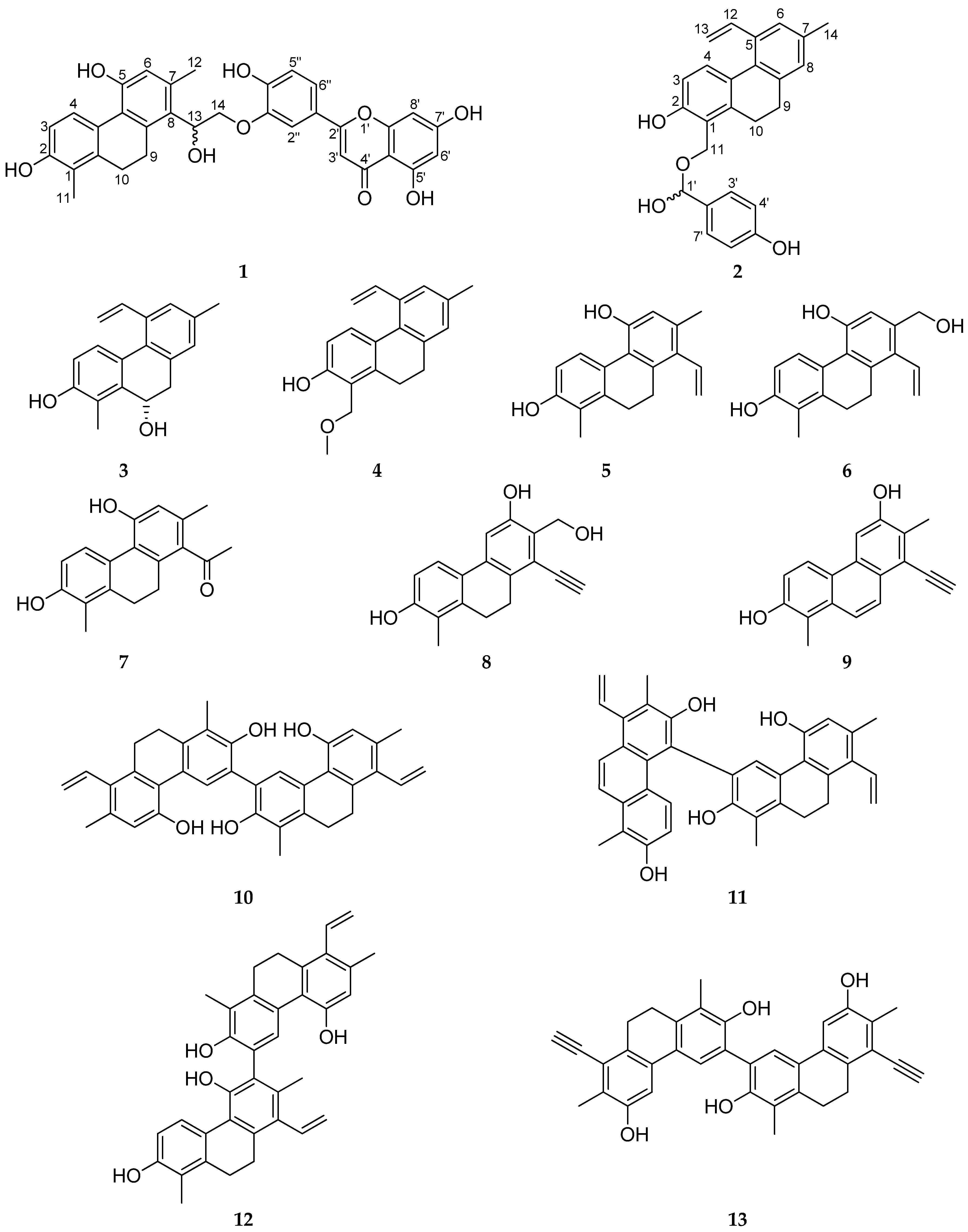 Pharmaceutics 14 00608 g001