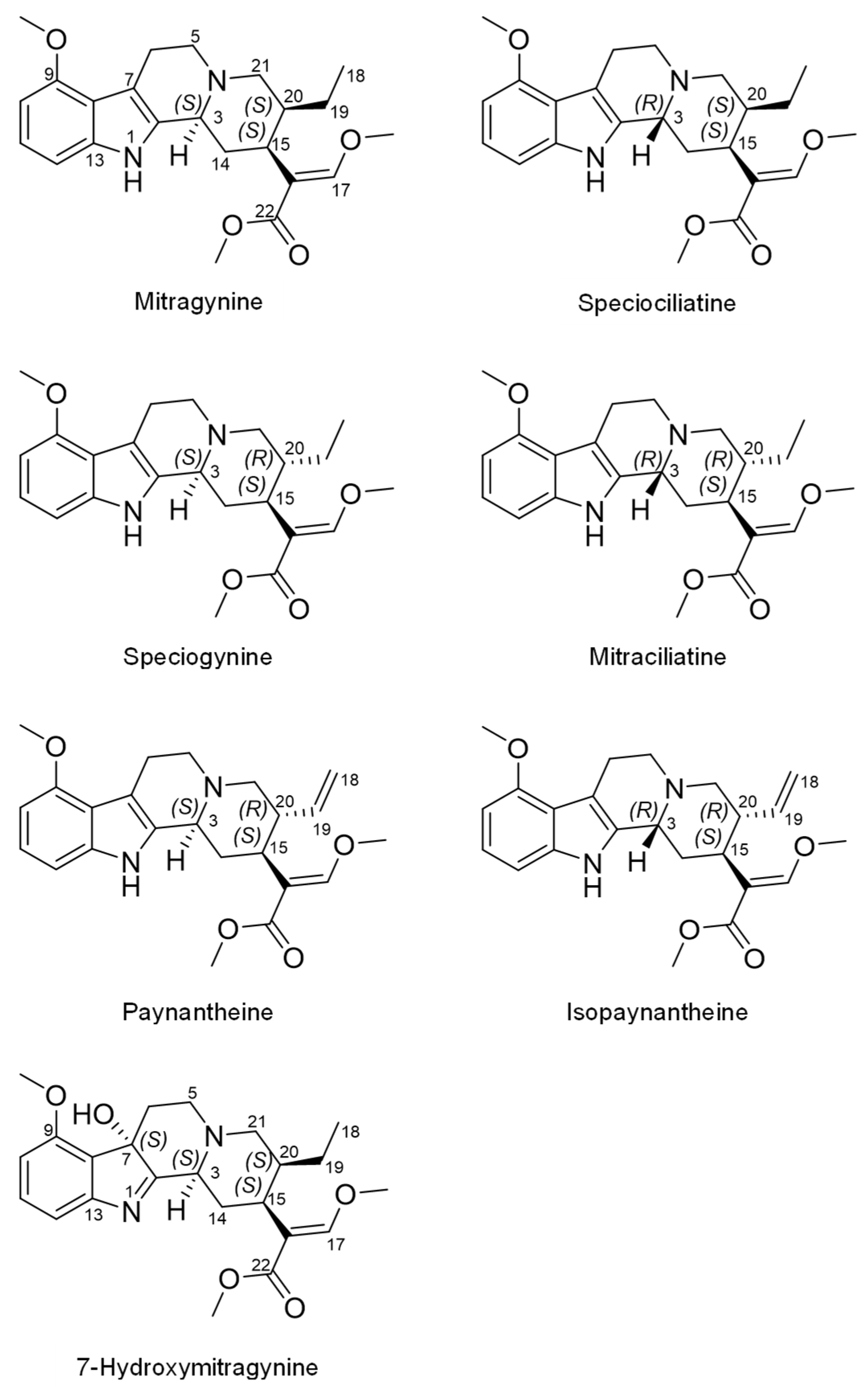 Pharmaceutics 14 00620 g001