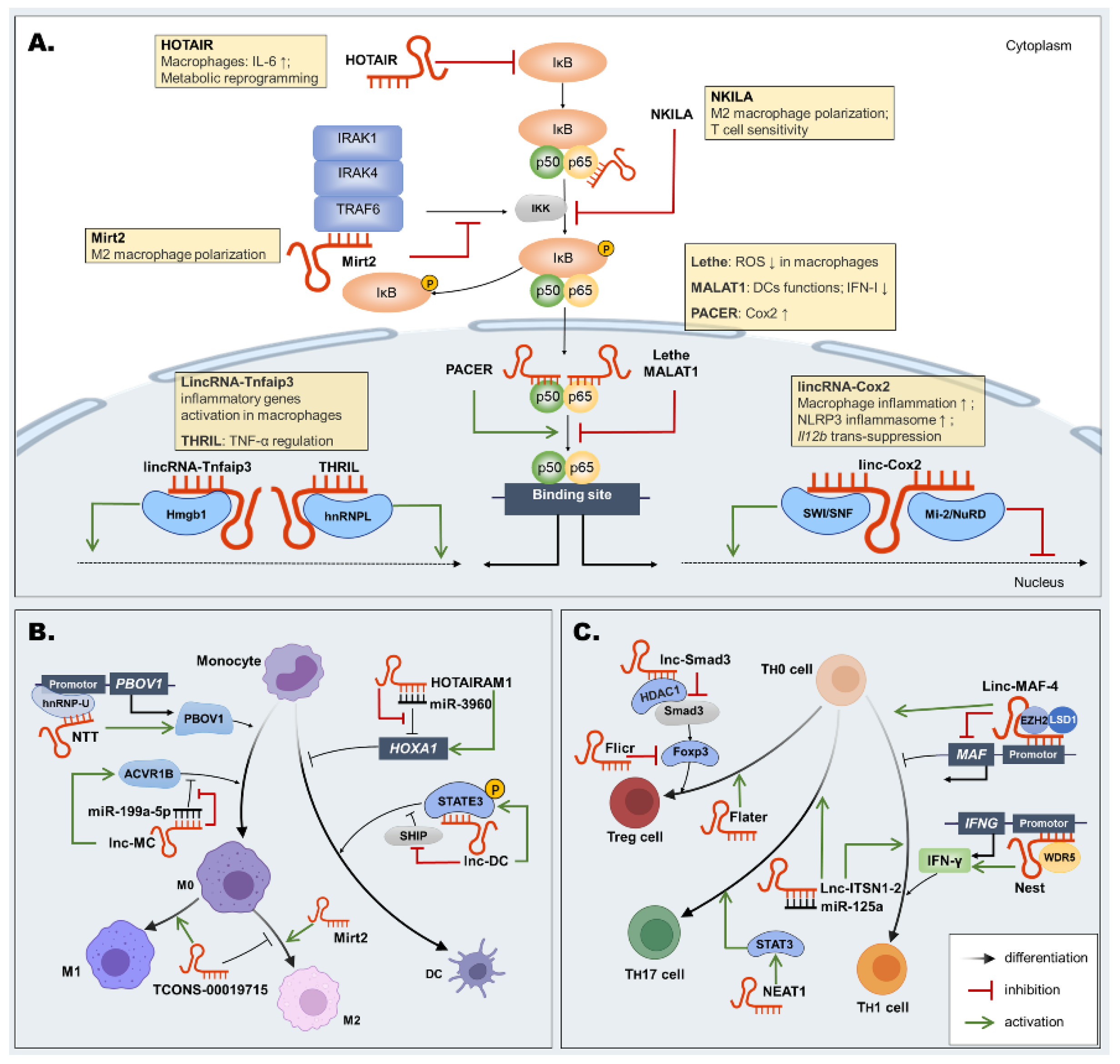 Pharmaceutics 14 00621 g003
