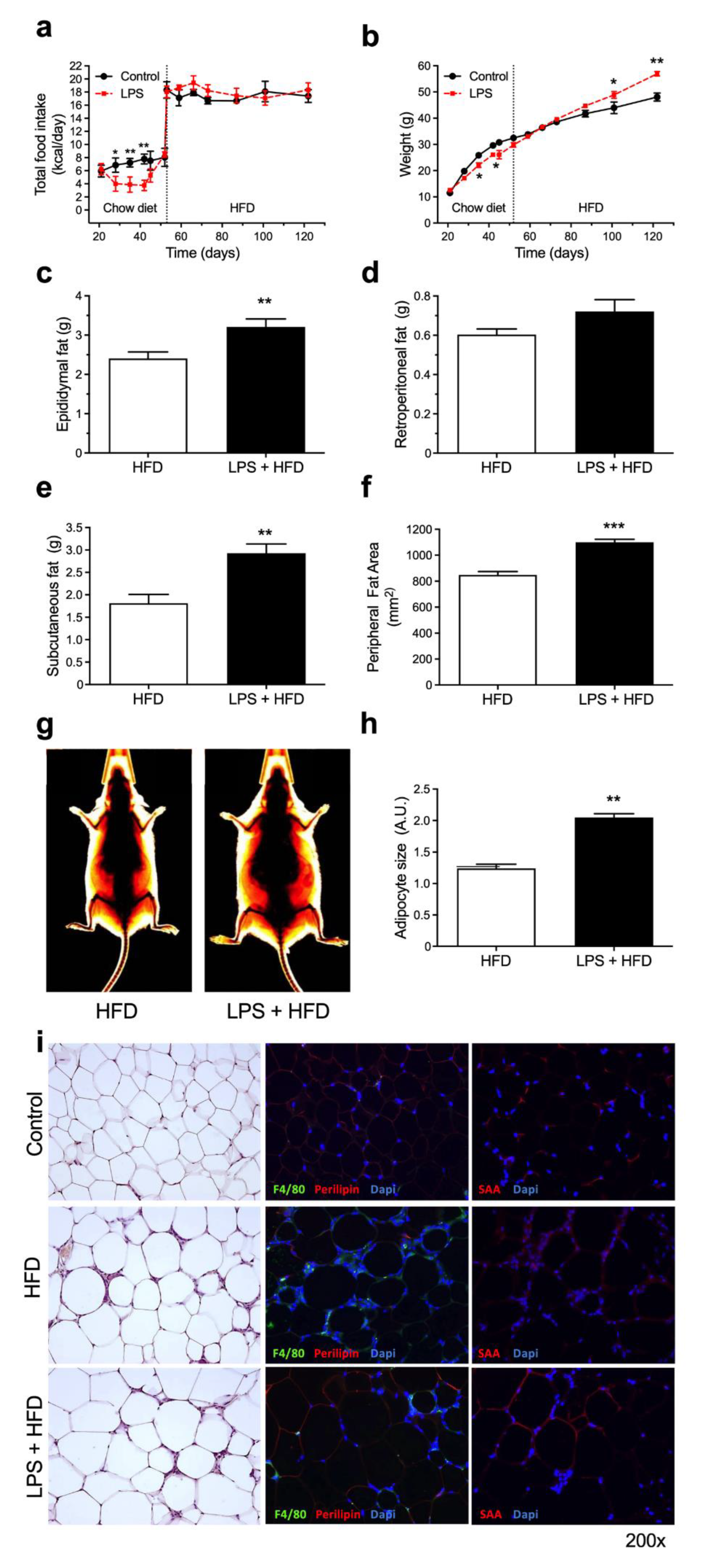 Pharmaceutics 14 00623 g002
