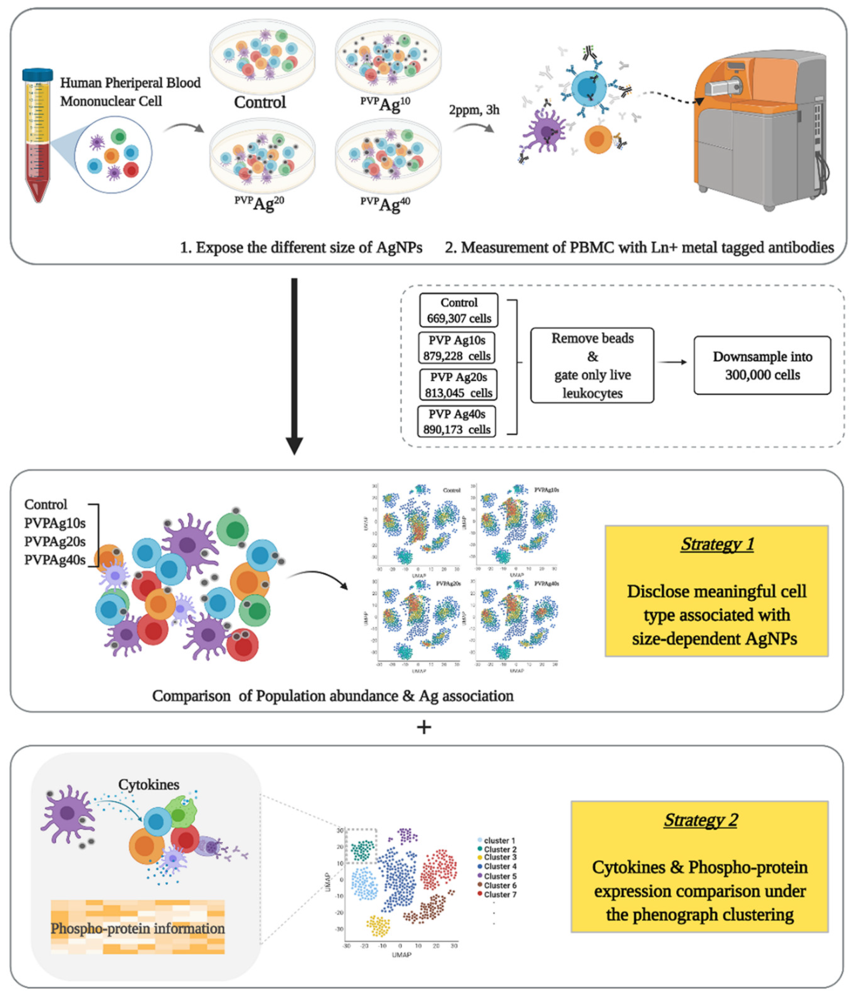 Pharmaceutics 14 00630 g001 Pharmaceutics 14 00630 g001