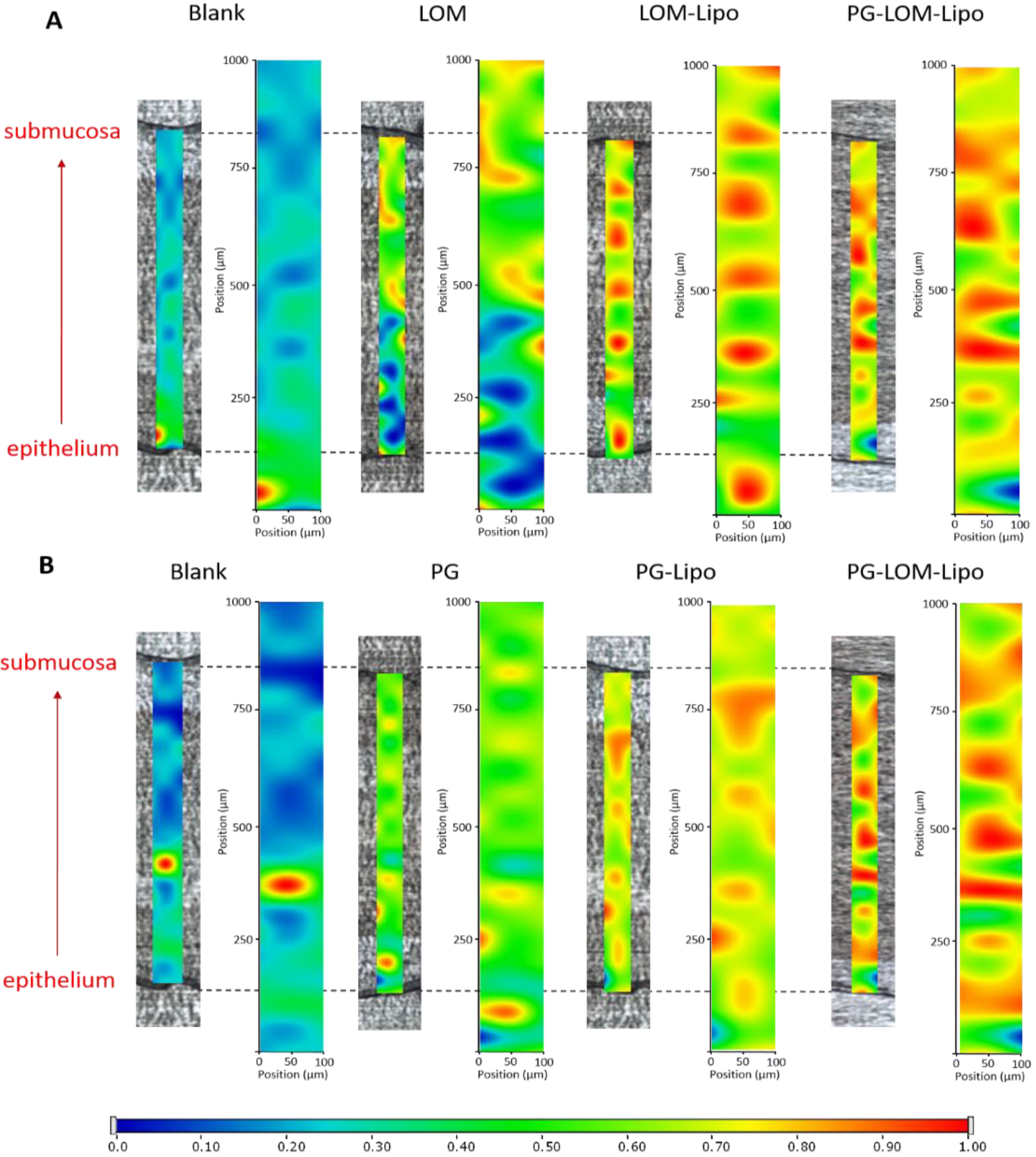 Pharmaceutics 14 00631 g006 Pharmaceutics 14 00631 g006