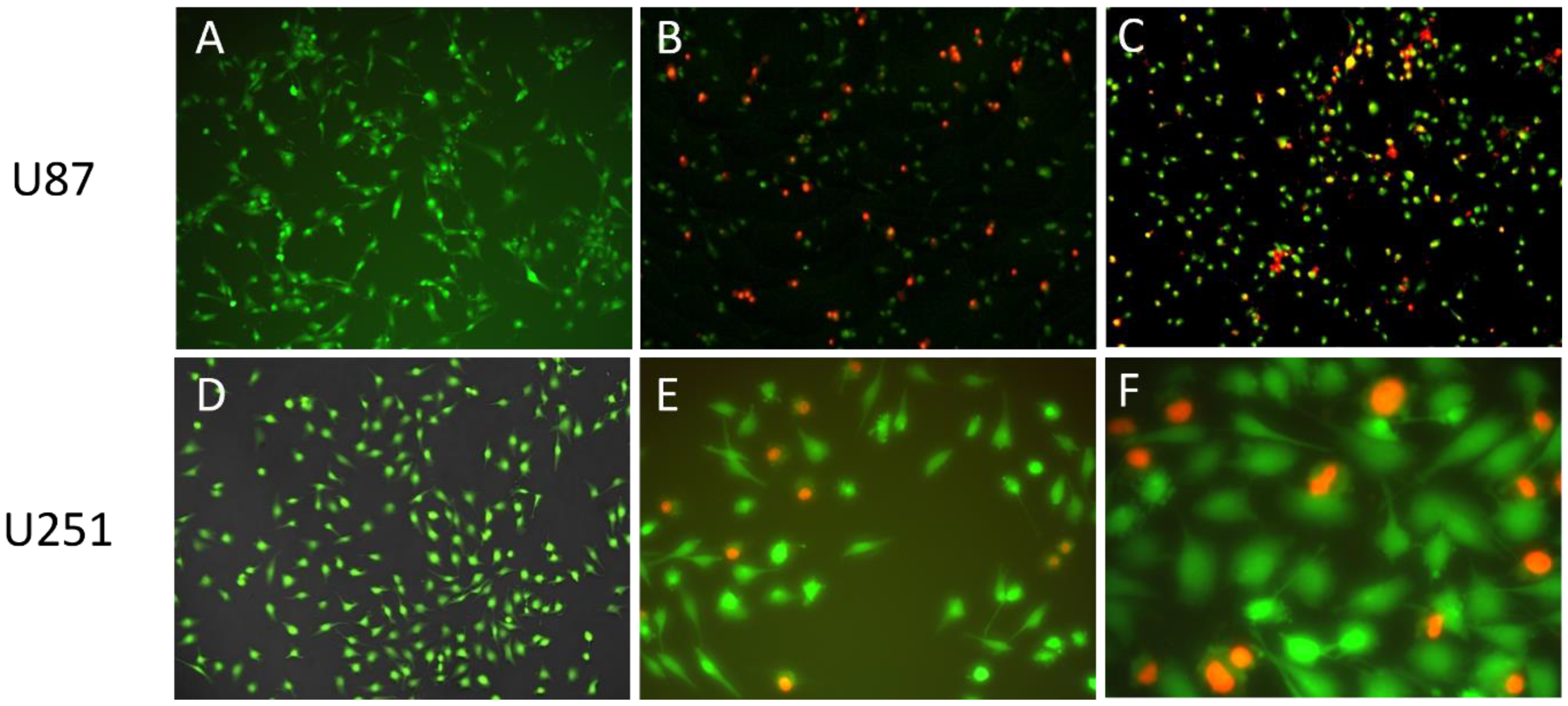 Pharmaceutics 14 00631 g009 Pharmaceutics 14 00631 g009
