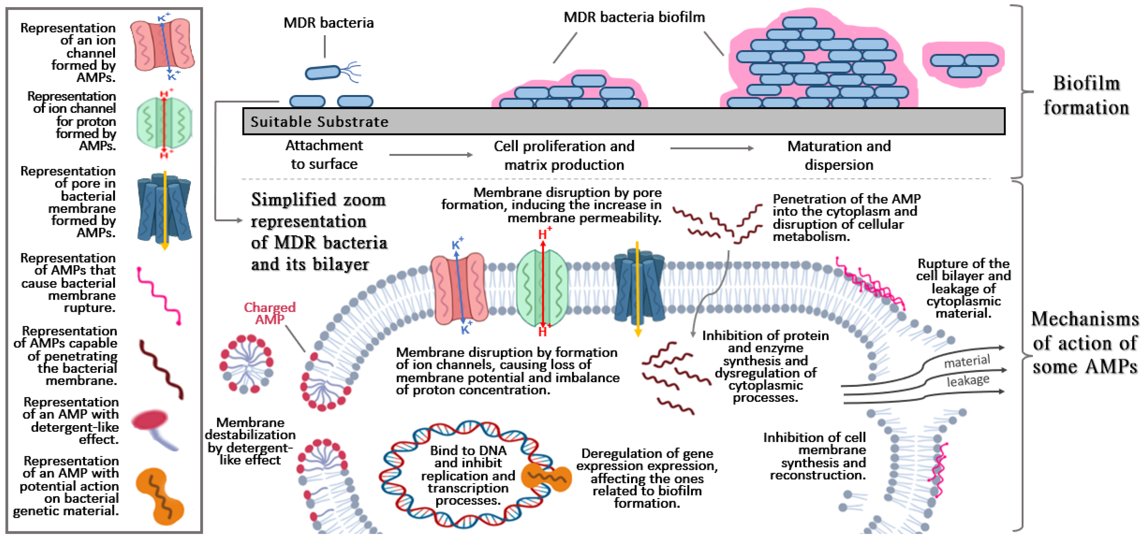 Pharmaceutics 14 00642 g001
