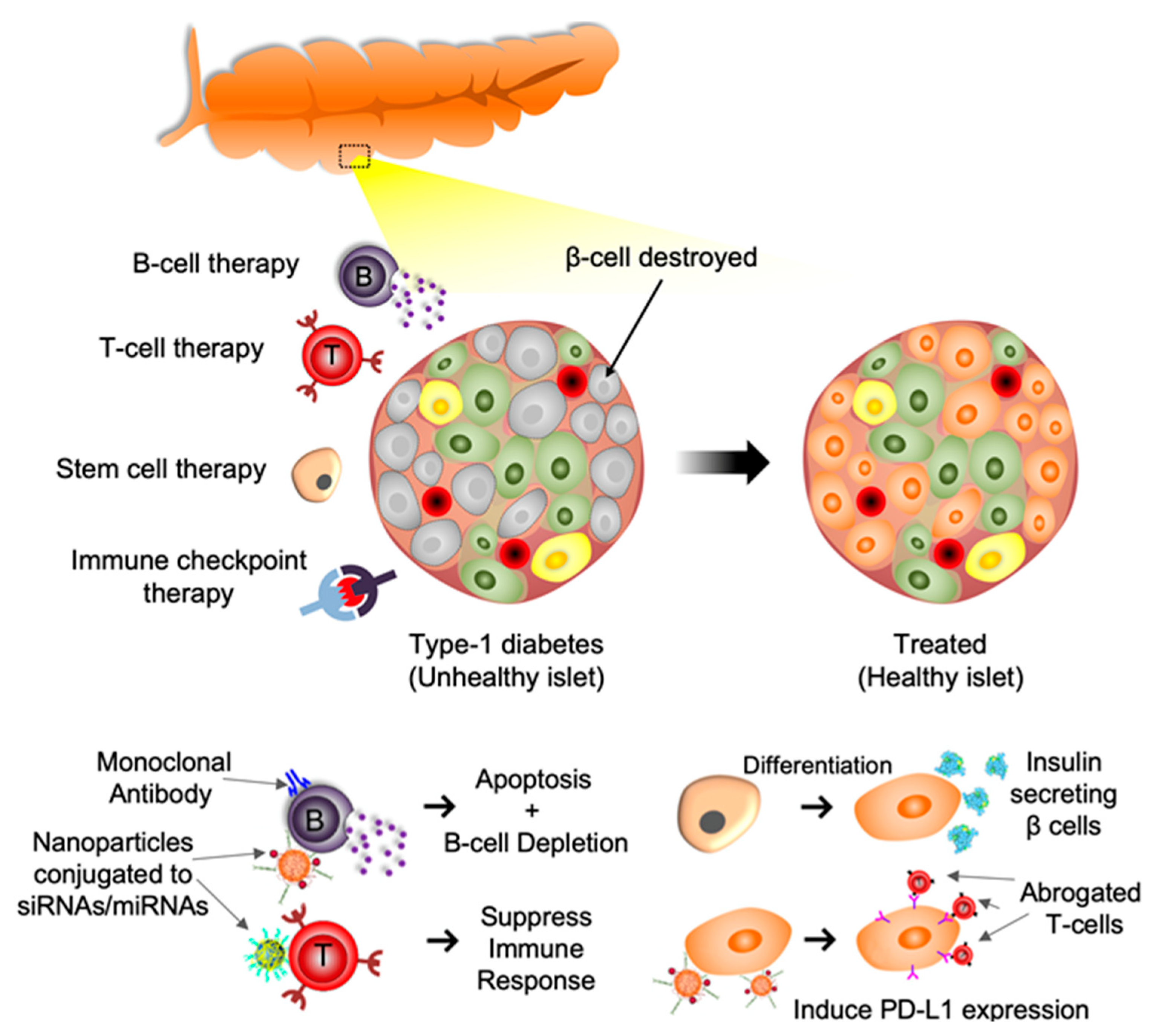 Pharmaceutics 14 00644 g001