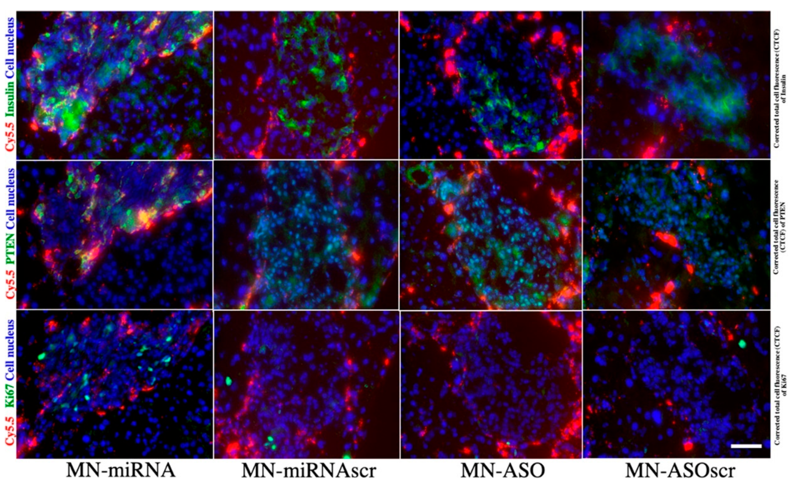 Pharmaceutics 14 00644 g002