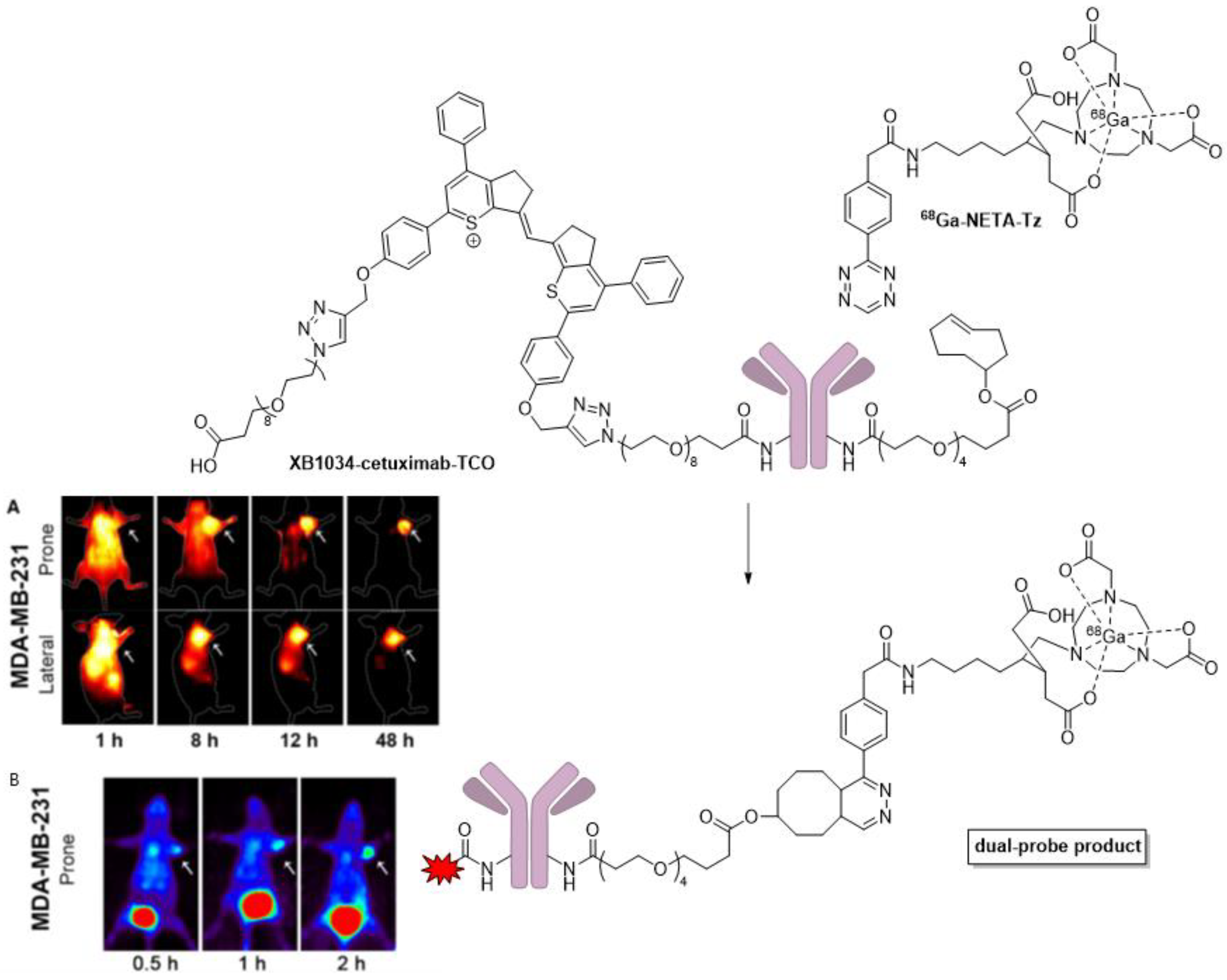 Pharmaceutics 14 00645 g012 Pharmaceutics 14 00645 g012