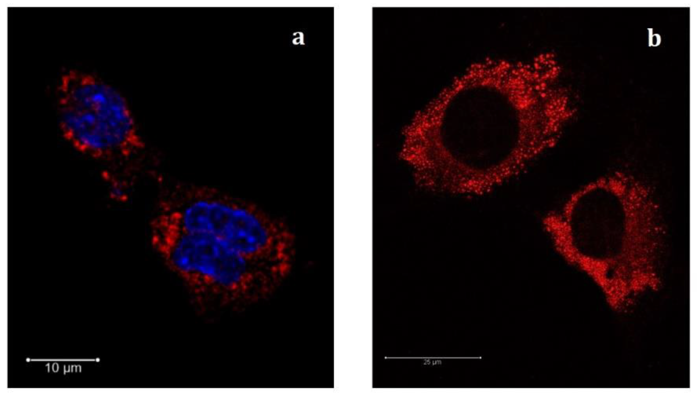 Pharmaceutics 14 00648 g007