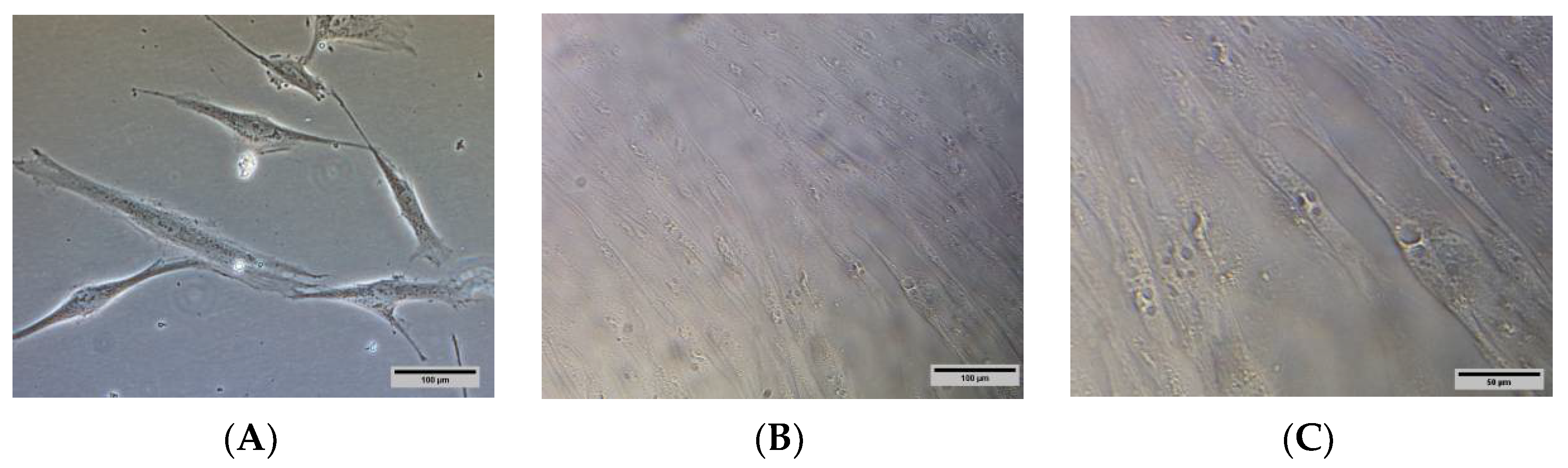 Pharmaceutics 14 00649 g003