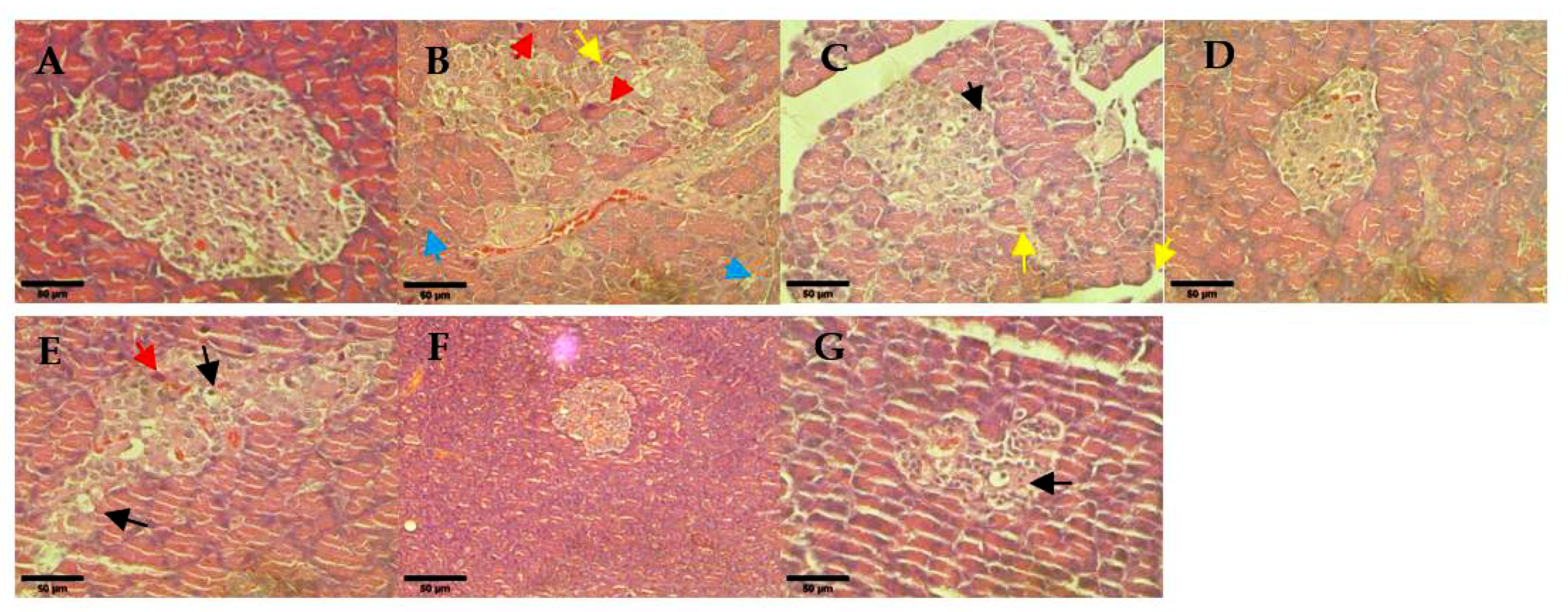 Pharmaceutics 14 00649 g008