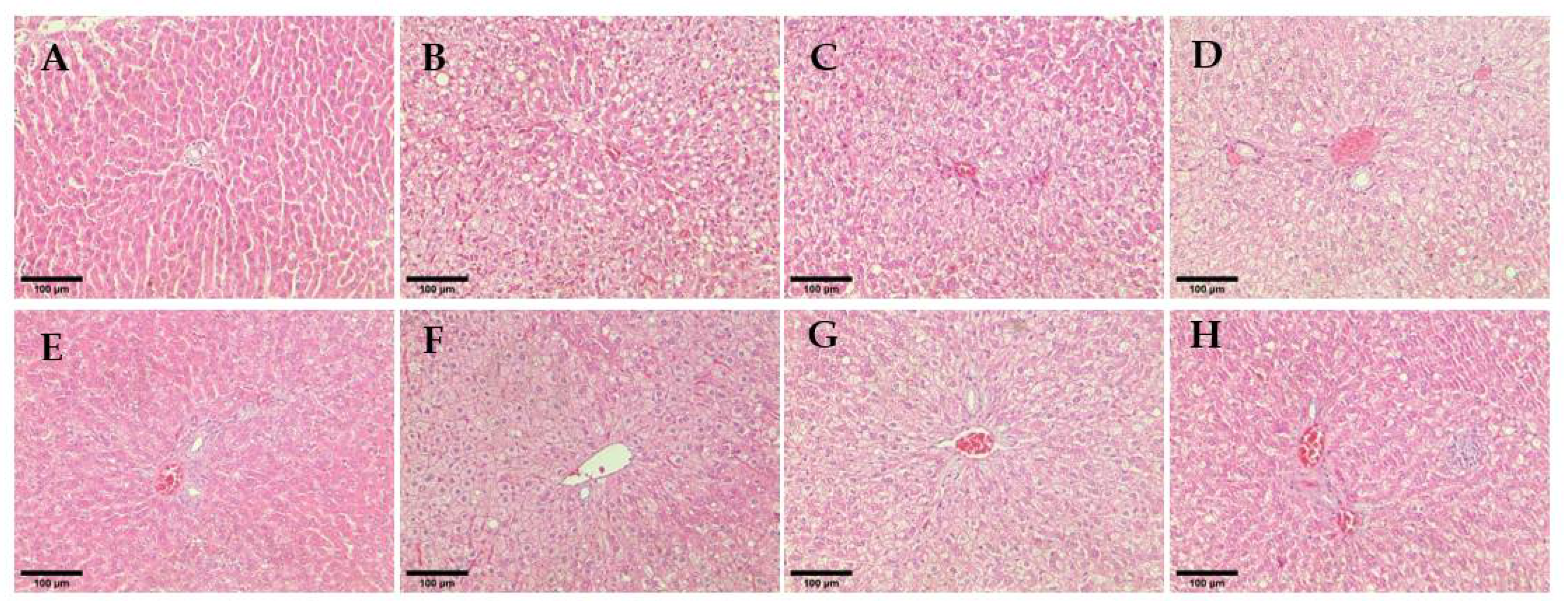 Pharmaceutics 14 00649 g009