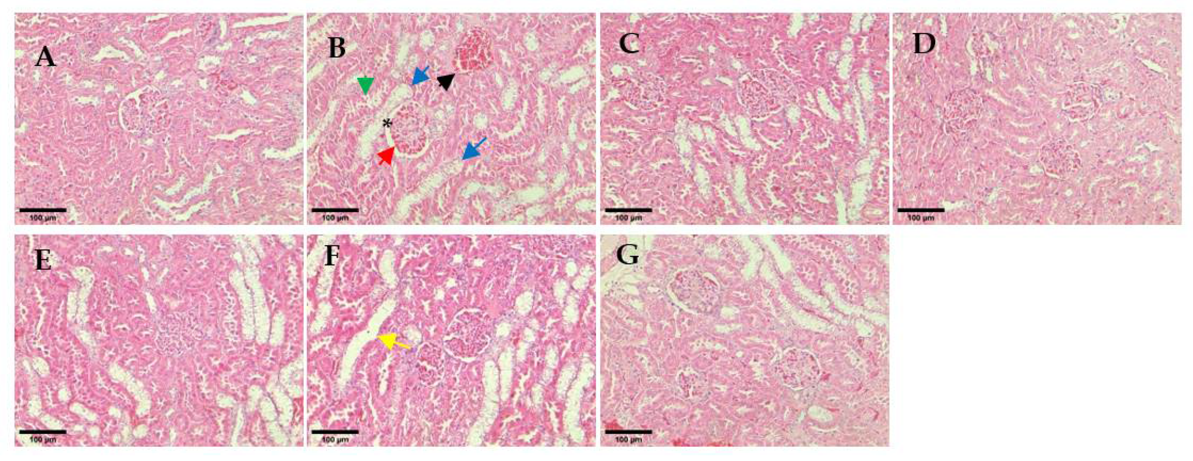 Pharmaceutics 14 00649 g010