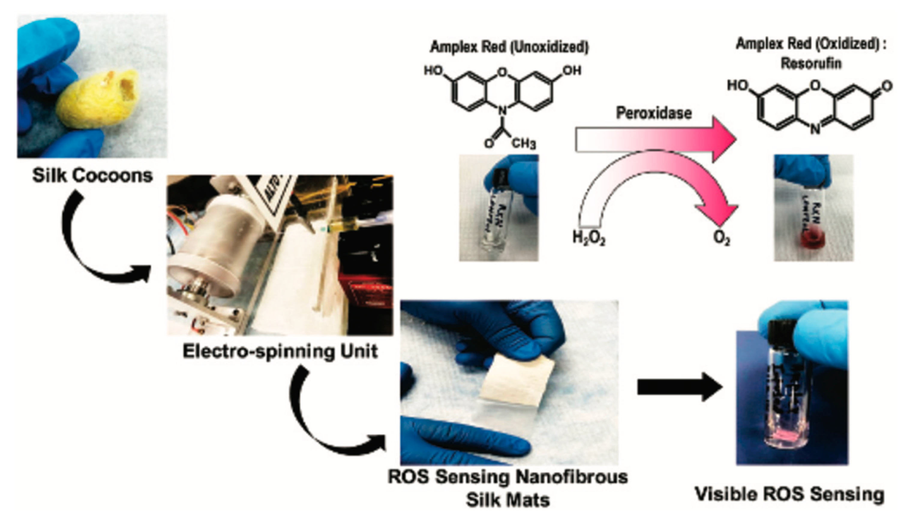 Pharmaceutics 14 00651 g002