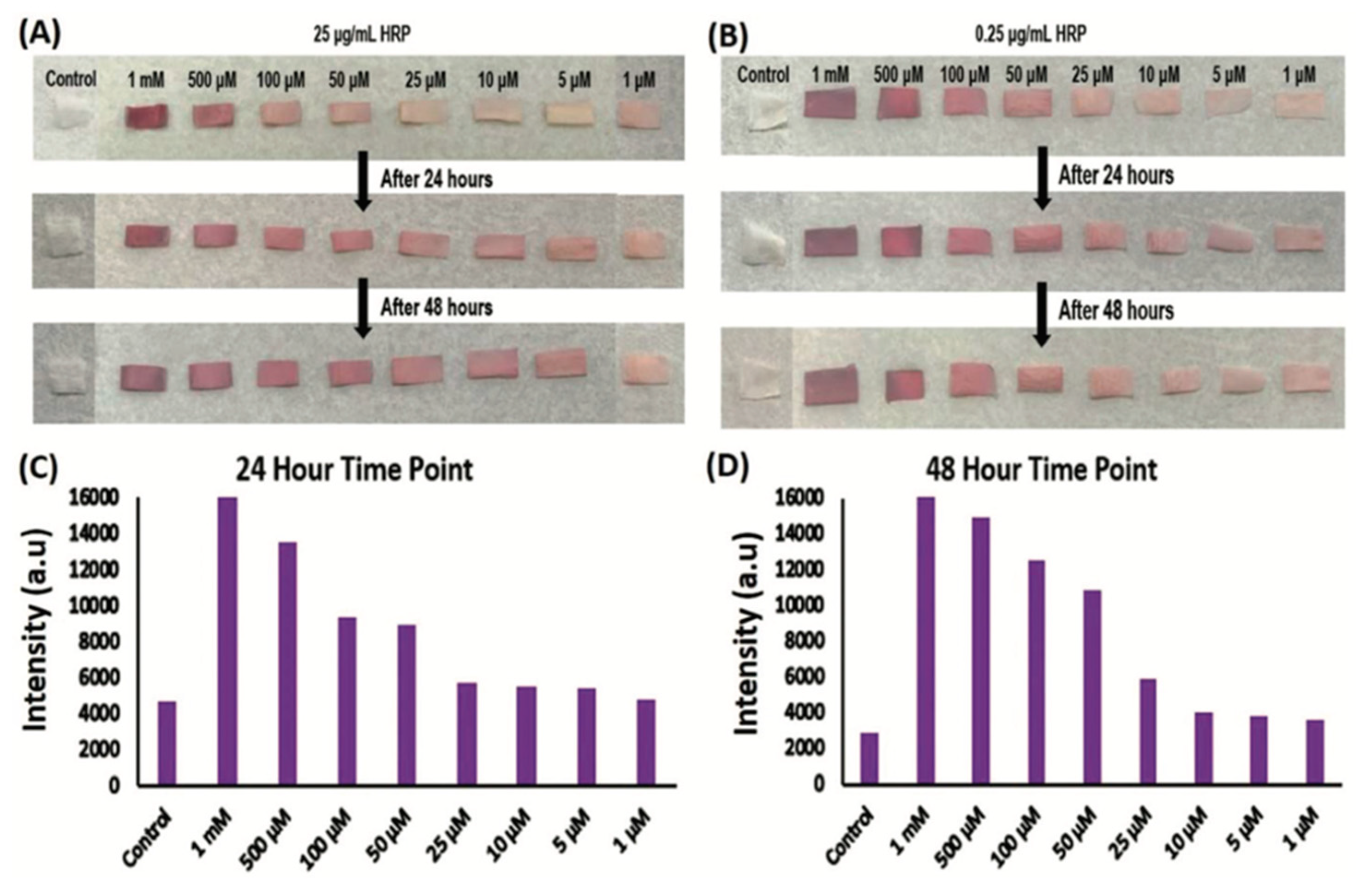 Pharmaceutics 14 00651 g003