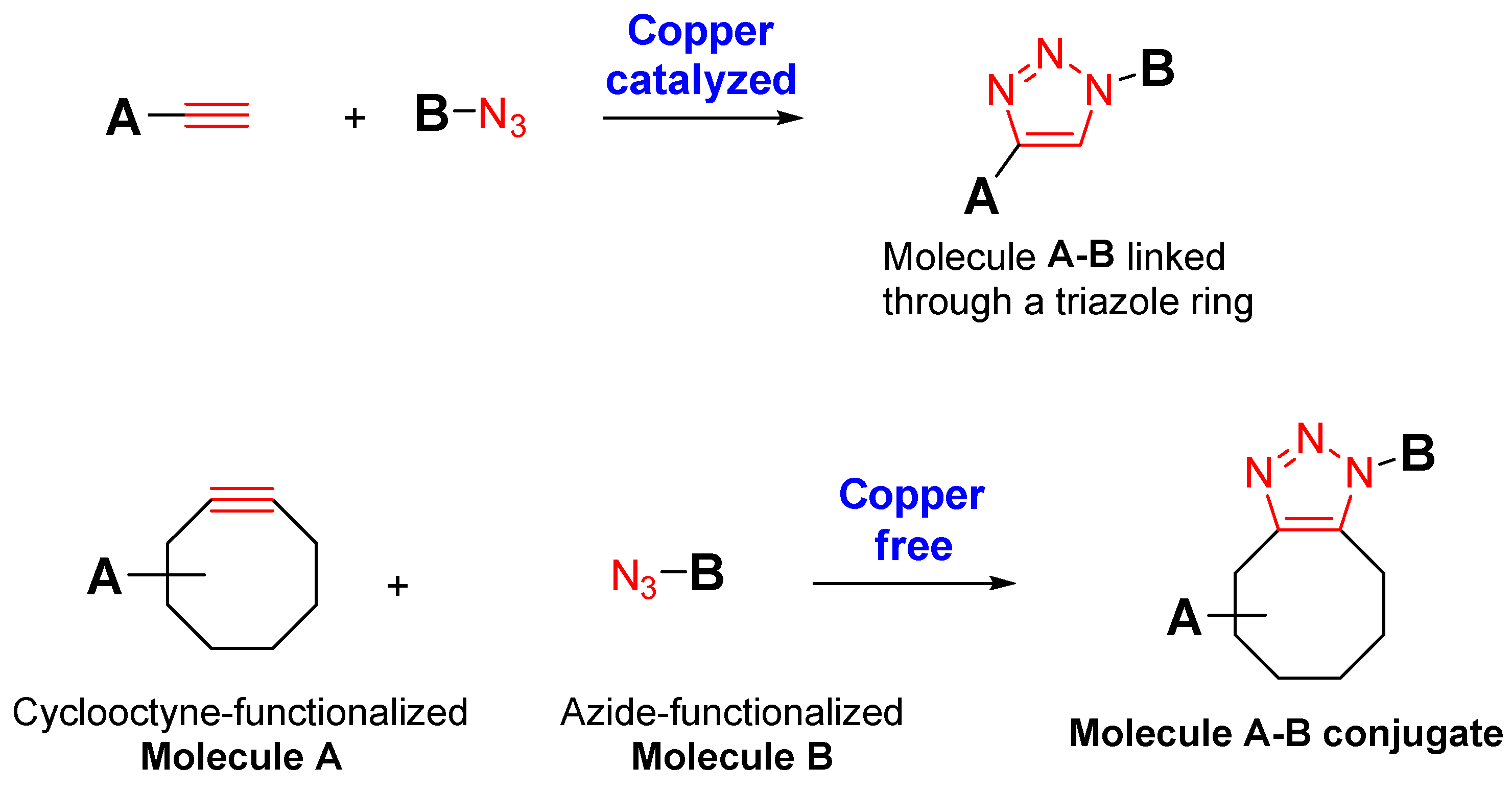 Pharmaceutics 14 00653 g001