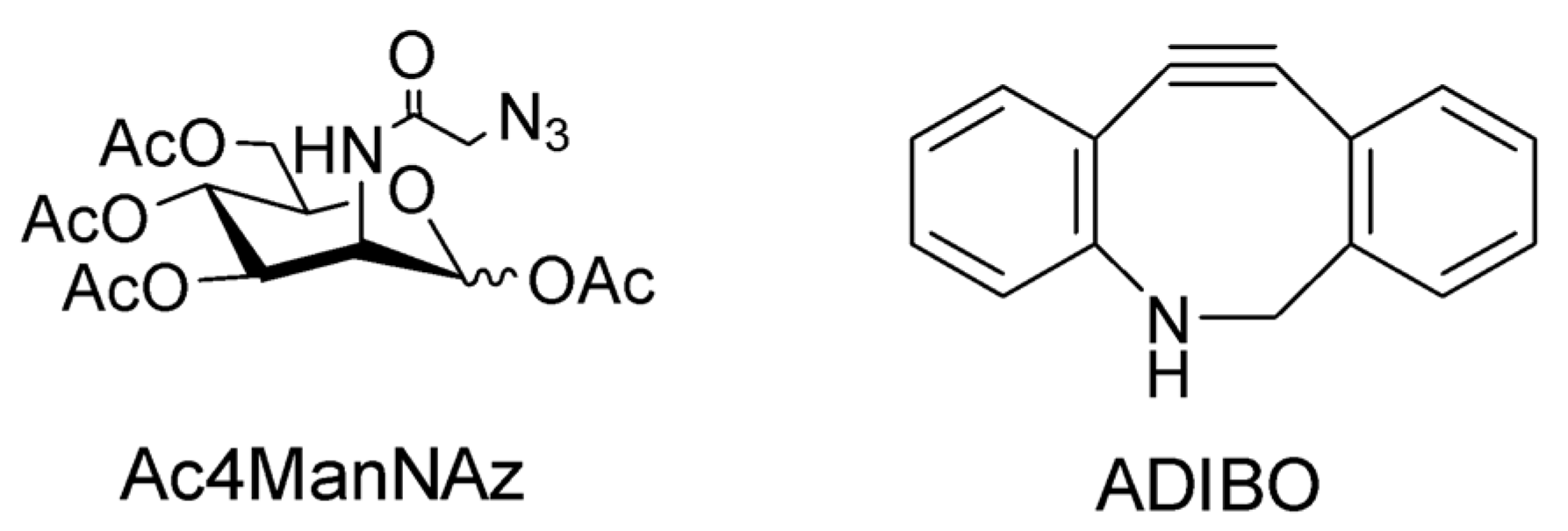Pharmaceutics 14 00653 g002