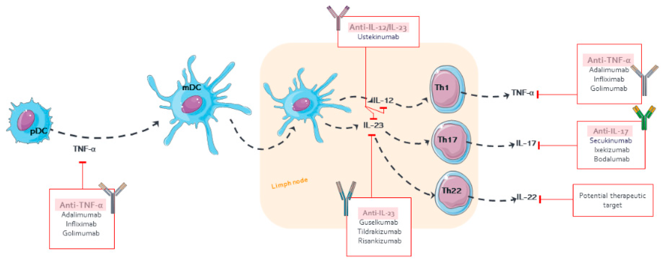 Pharmaceutics 14 00654 g002