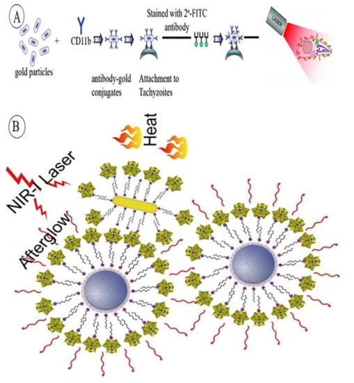 Pharmaceutics 14 00664 g003 550