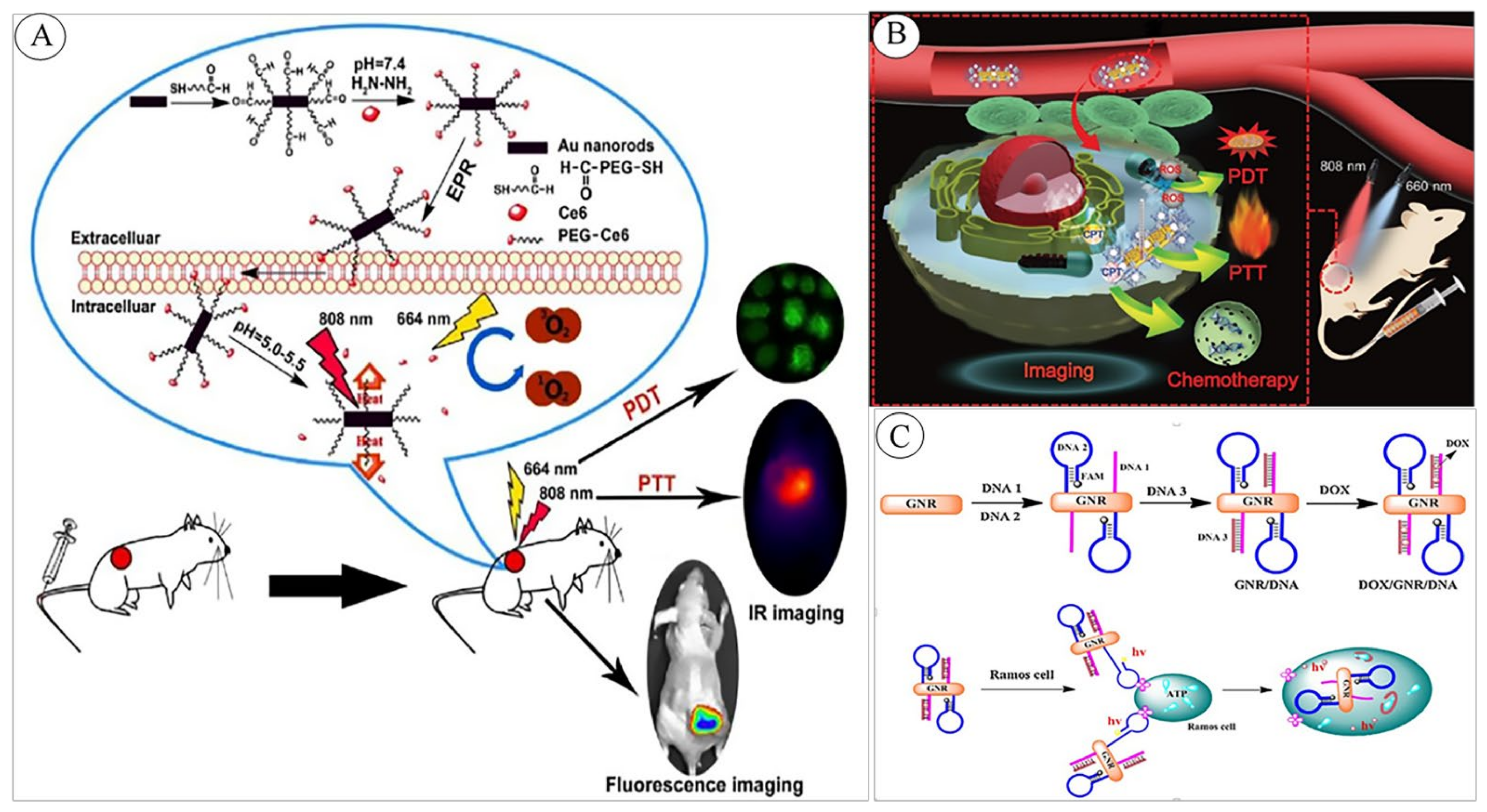 Pharmaceutics 14 00664 g004