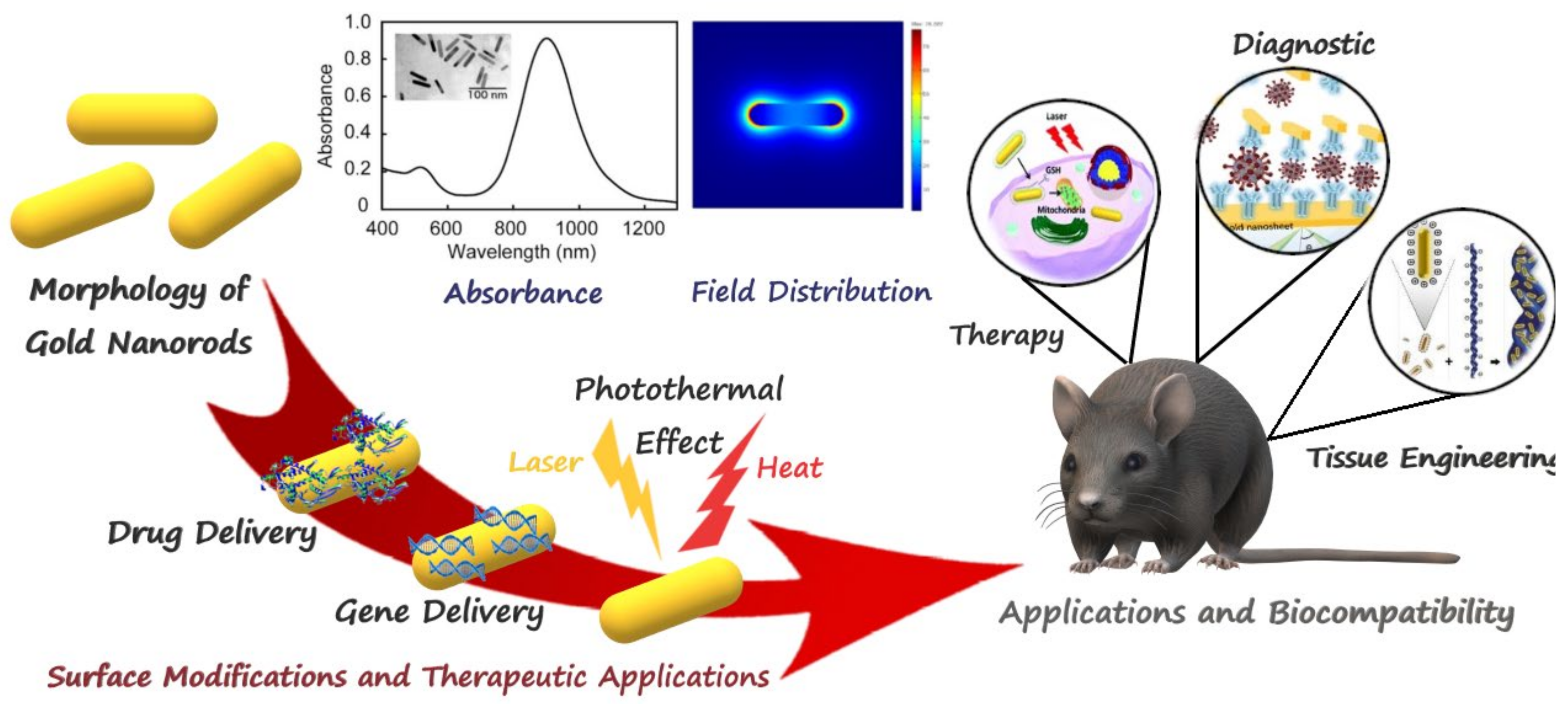 Pharmaceutics 14 00664 sch001a
