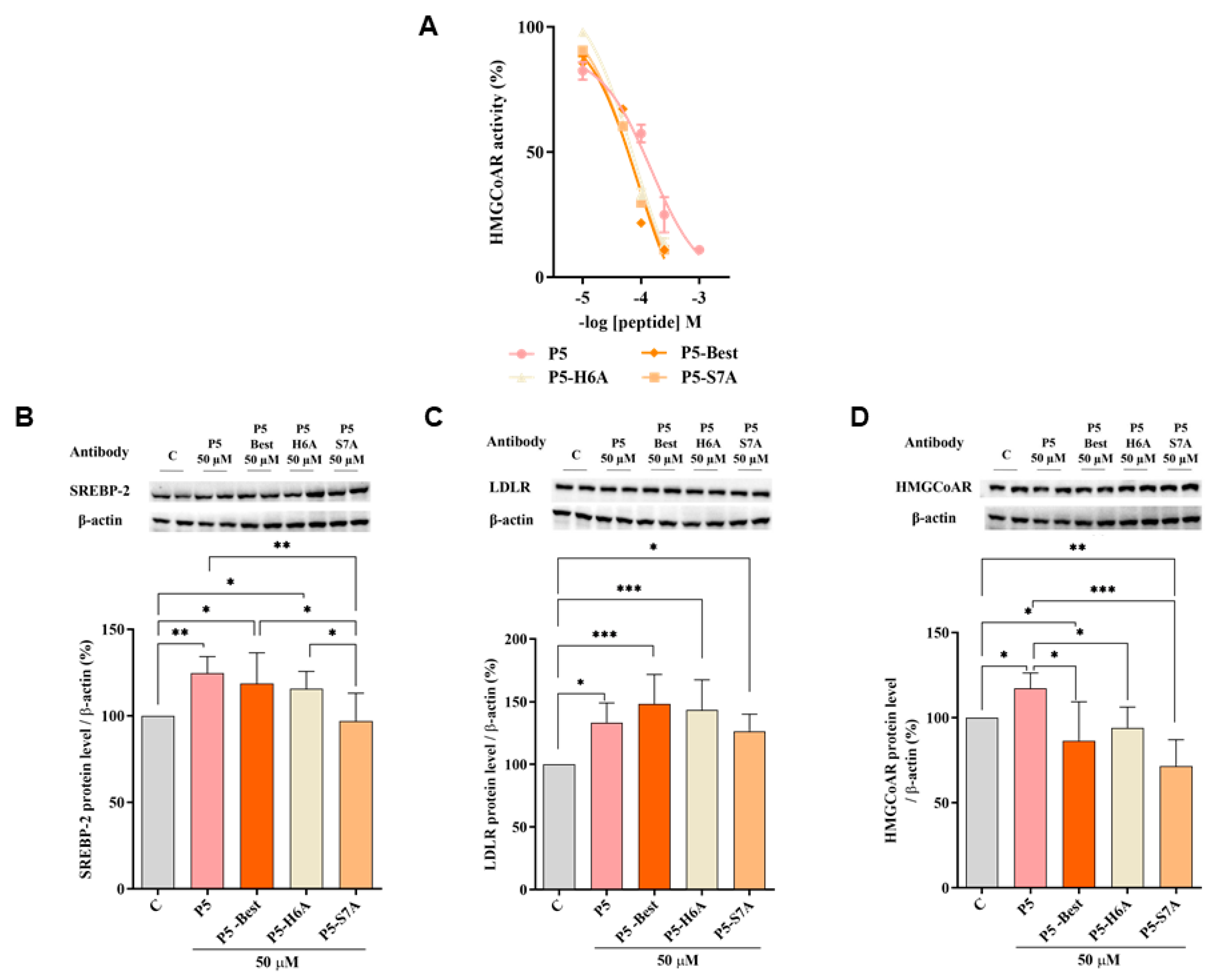 Pharmaceutics 14 00665 g004