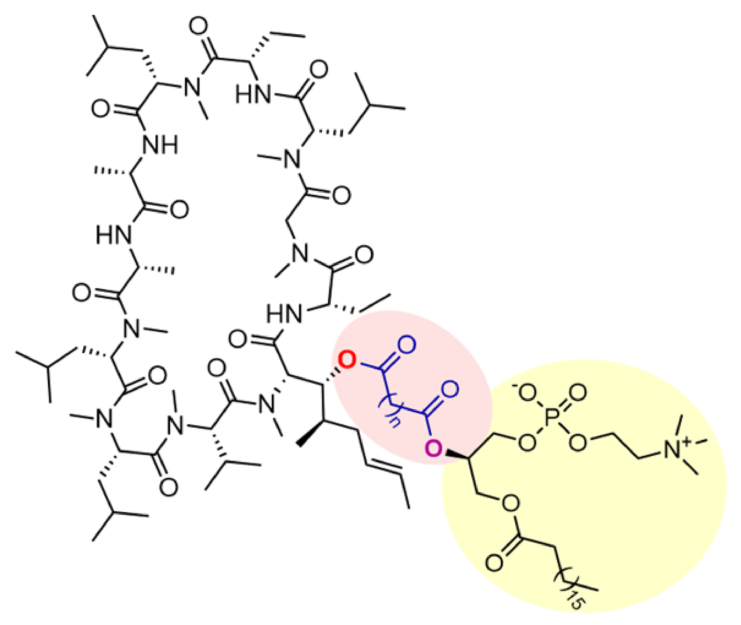 Pharmaceutics 14 00675 sch001 Pharmaceutics 14 00675 sch001