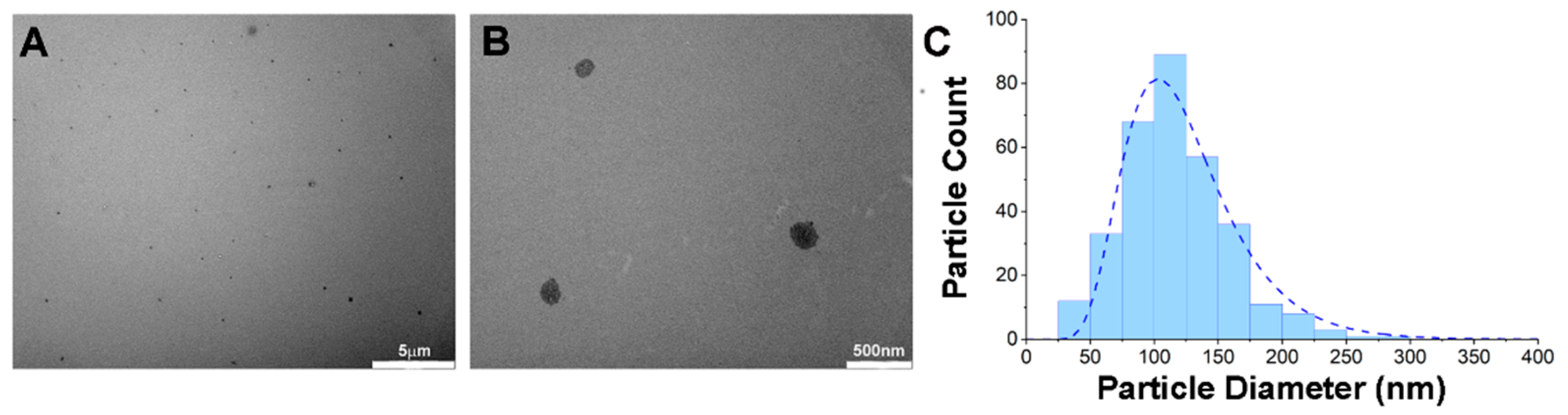 Pharmaceutics 14 00677 g001
