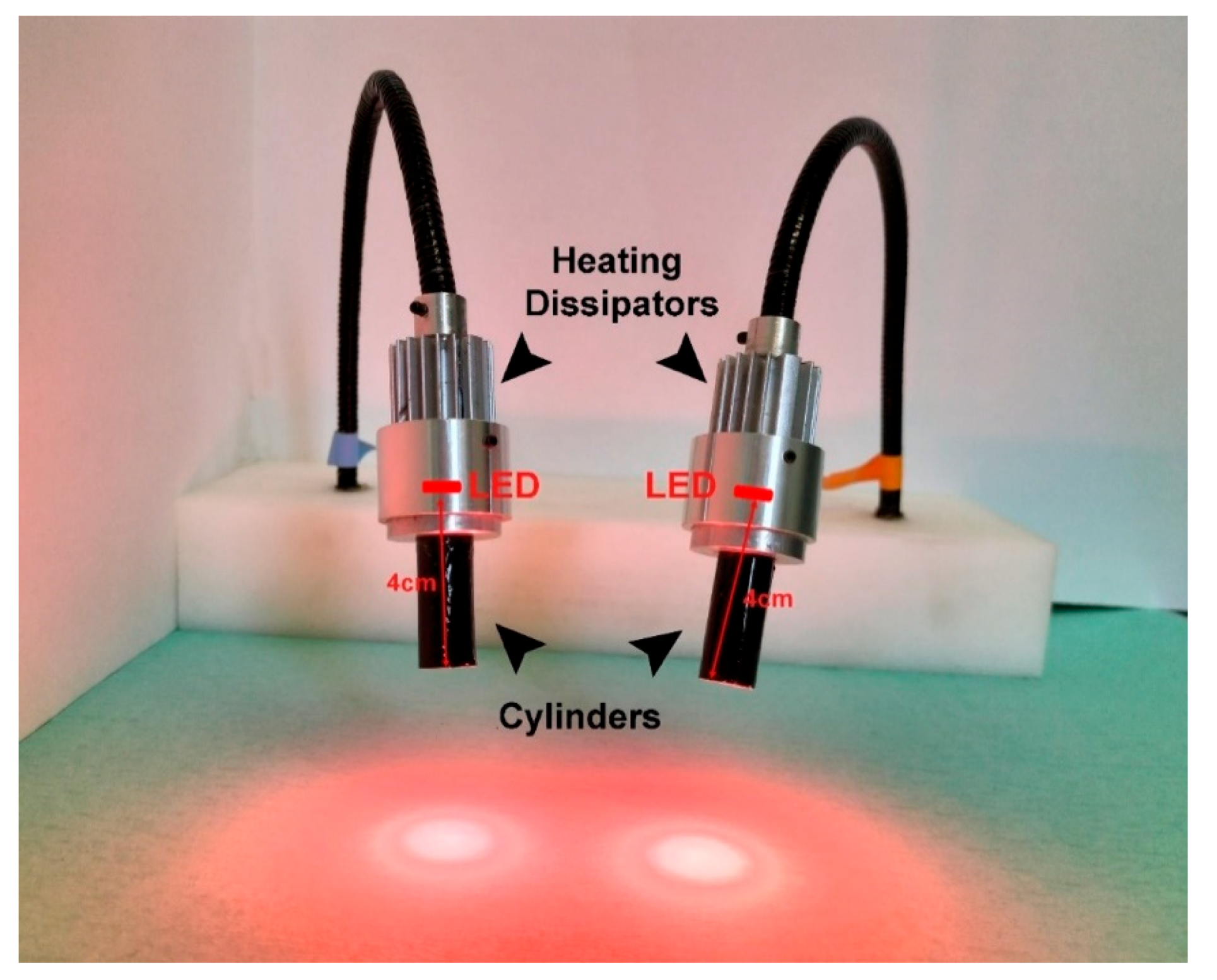 Pharmaceutics 14 00677 g004